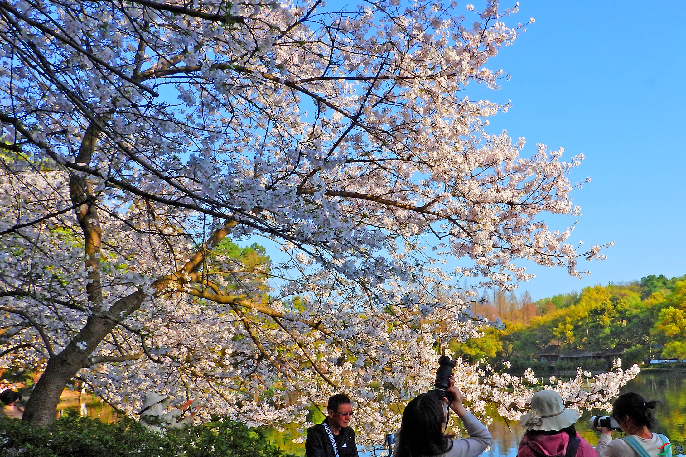 DSCN5285.JPG
