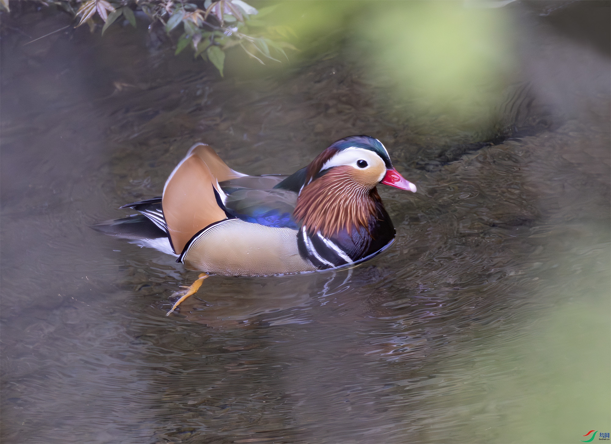 2I1A7902-����ǿ-NR ����.jpg