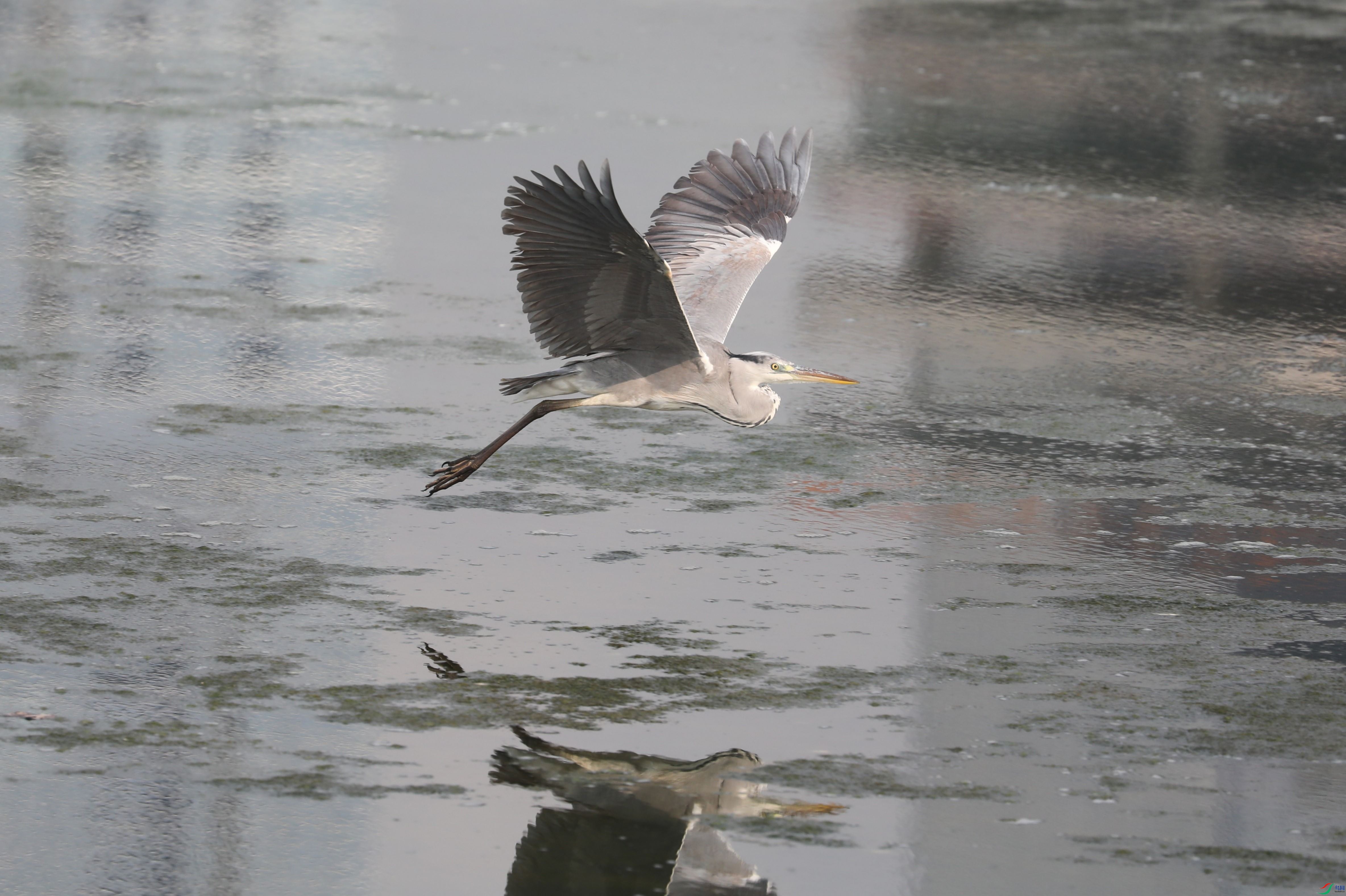 BL7A2878.JPG