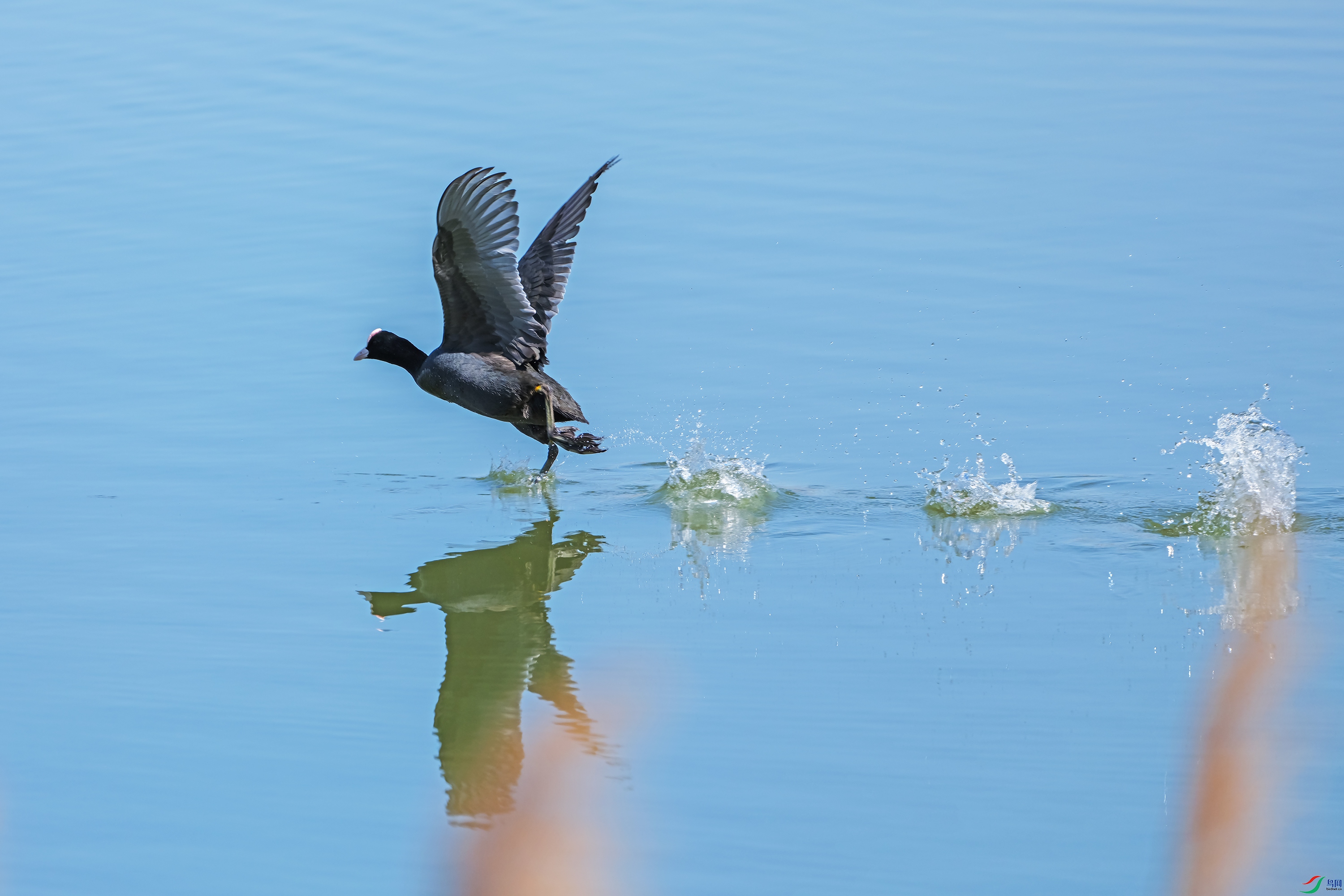 DSCF0030 ����.jpg