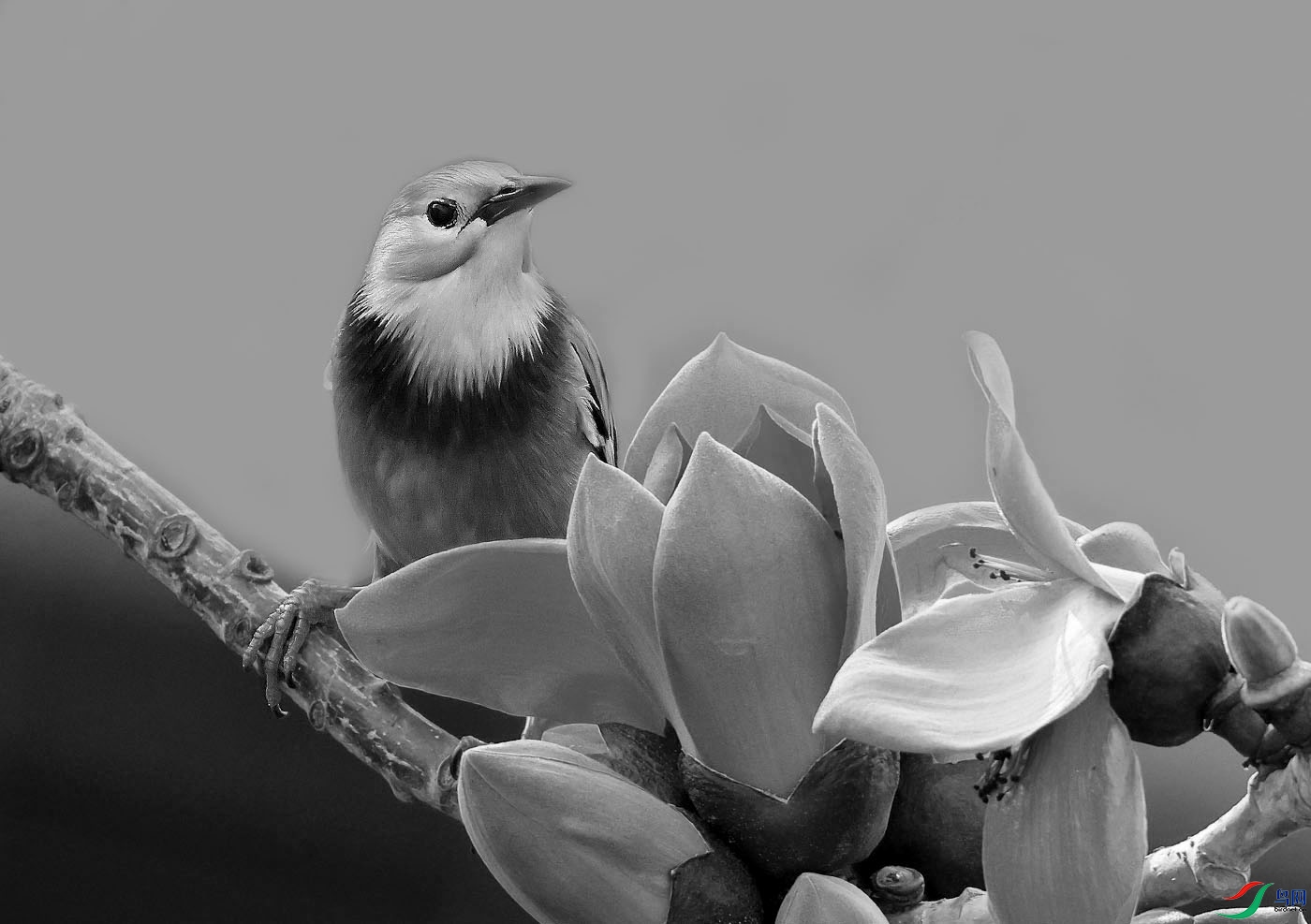 ˿�����-01.jpg