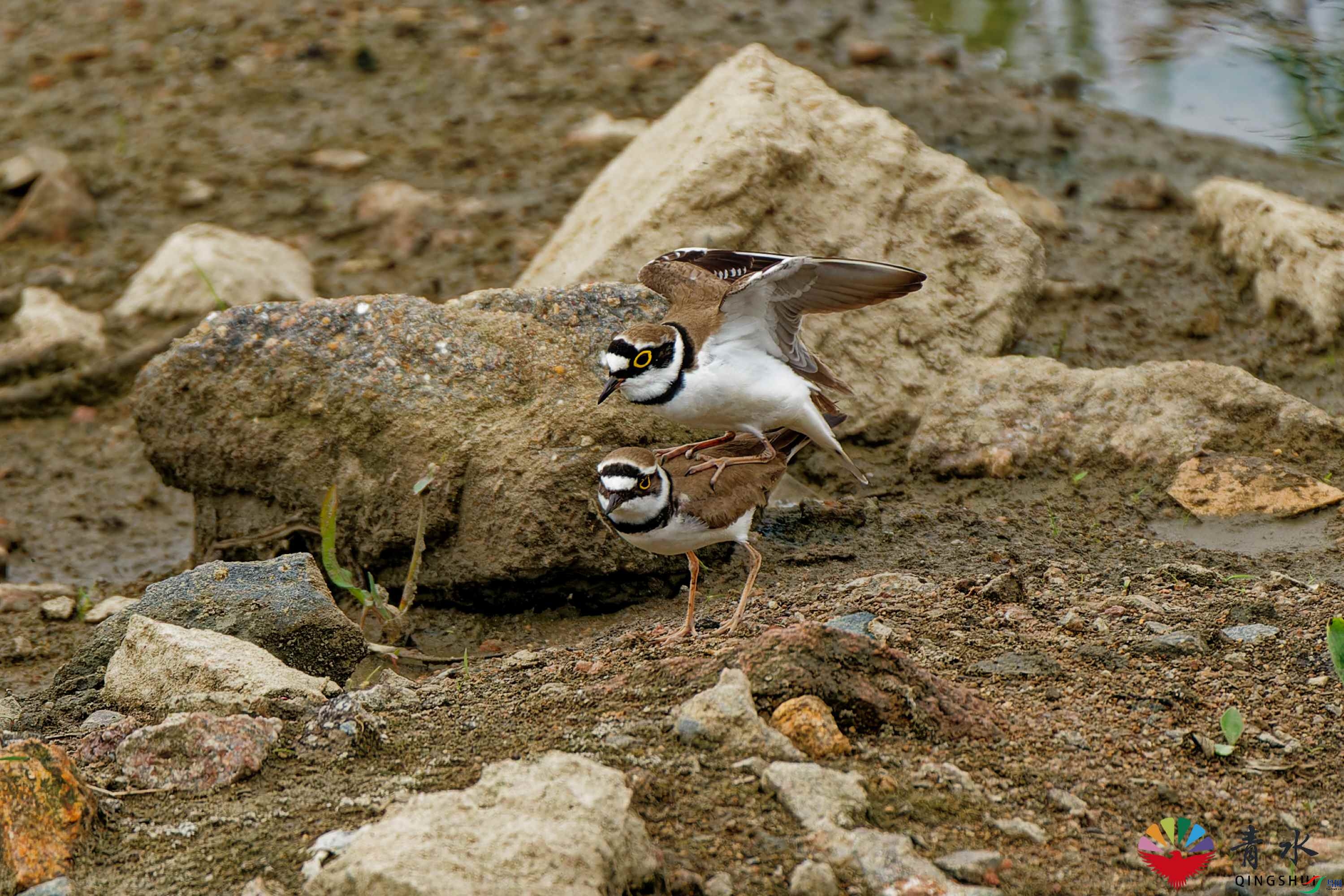 DSC07978_DxO.jpg
