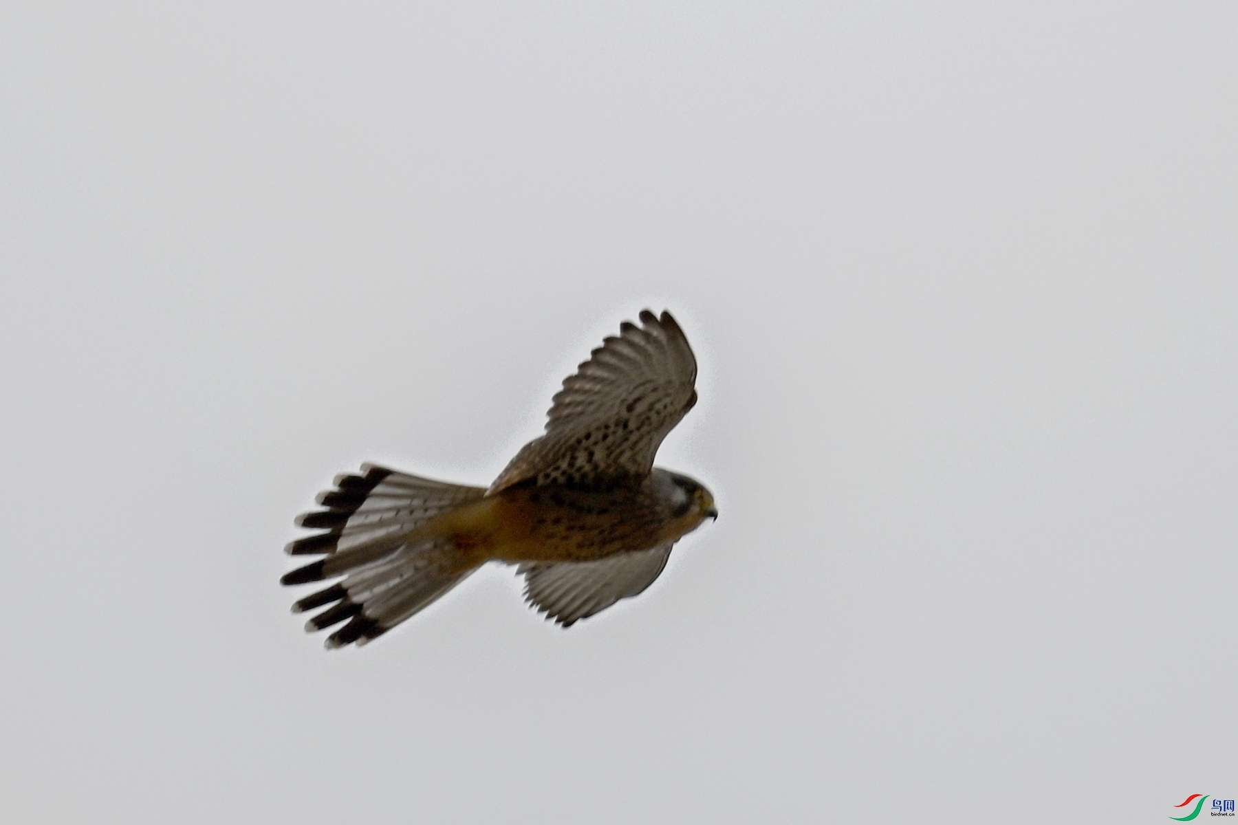 DSC_5705.JPG