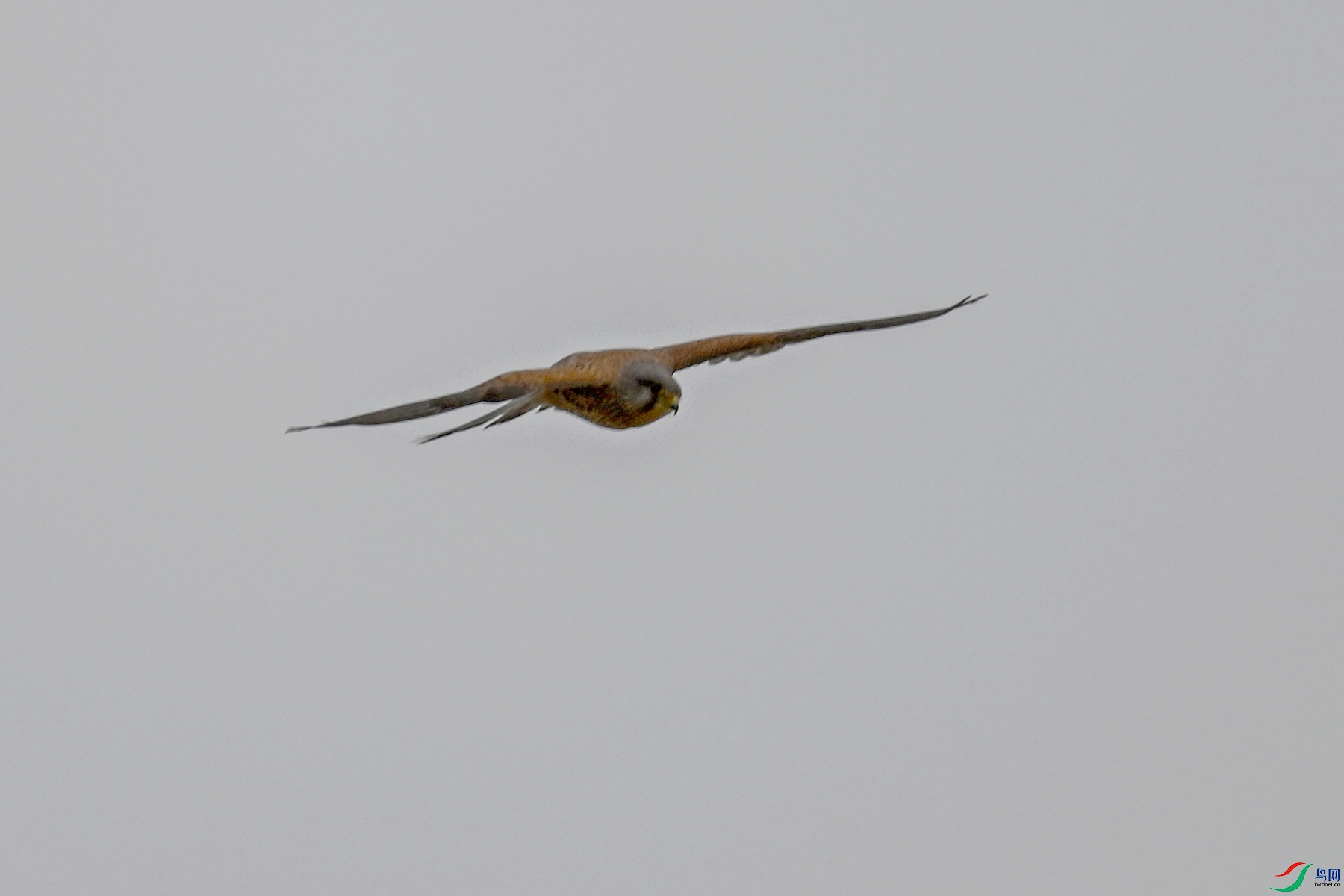 DSC_5702.JPG