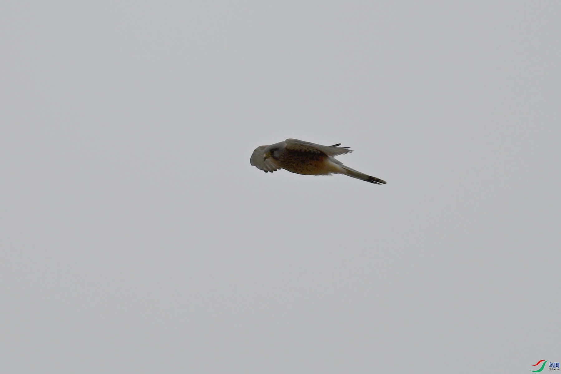 DSC_5708.JPG