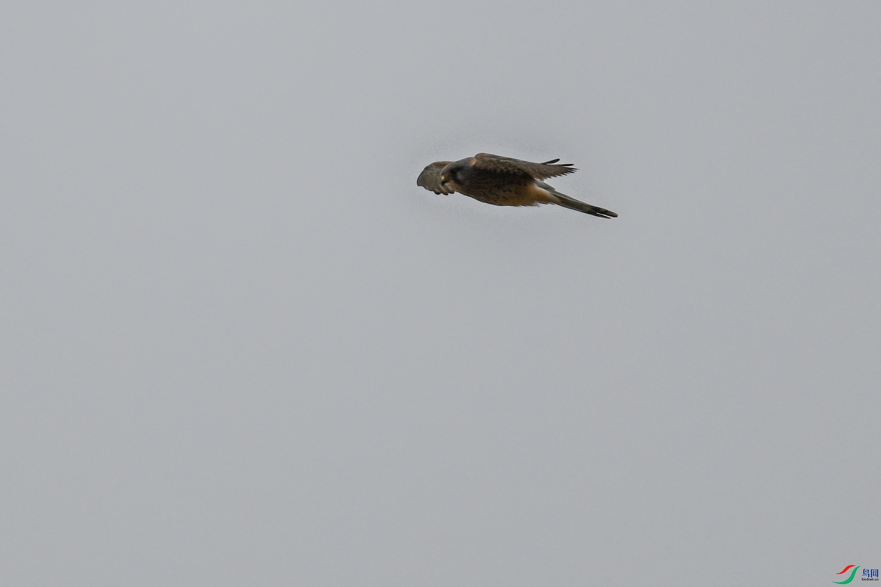 DSC_5709.JPG