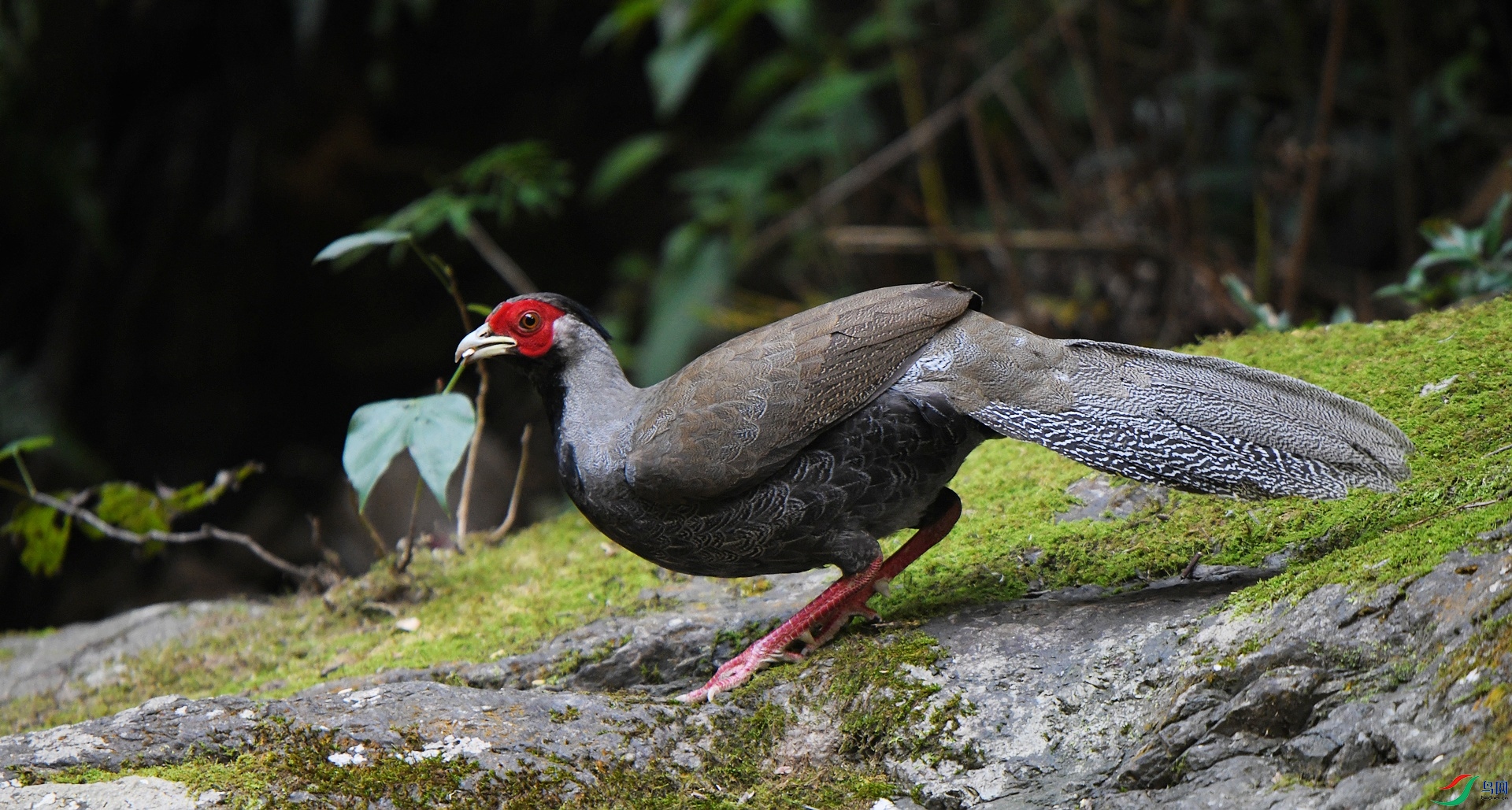 DSC_8864.jpg