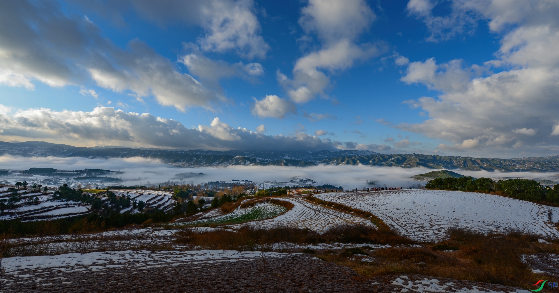DSC_2688.jpg