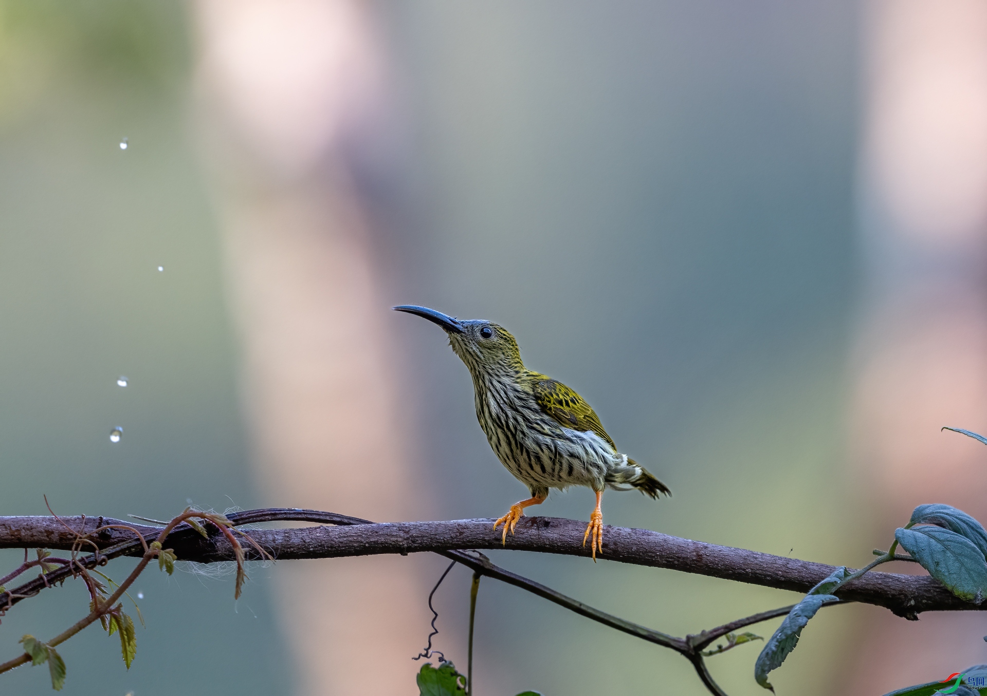DSC_0903-2.jpg