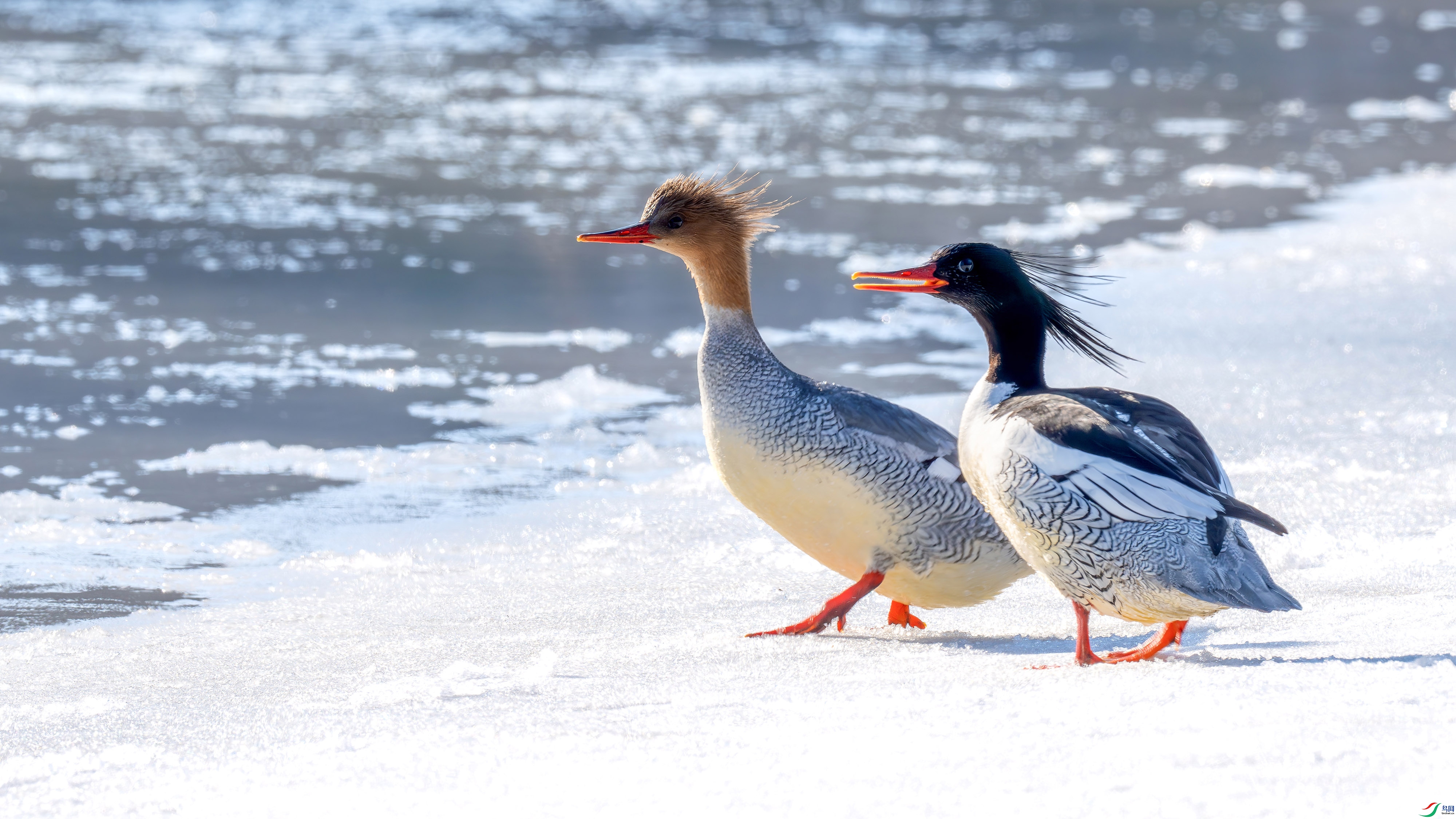 _DSC3498-A ���� 2.jpg