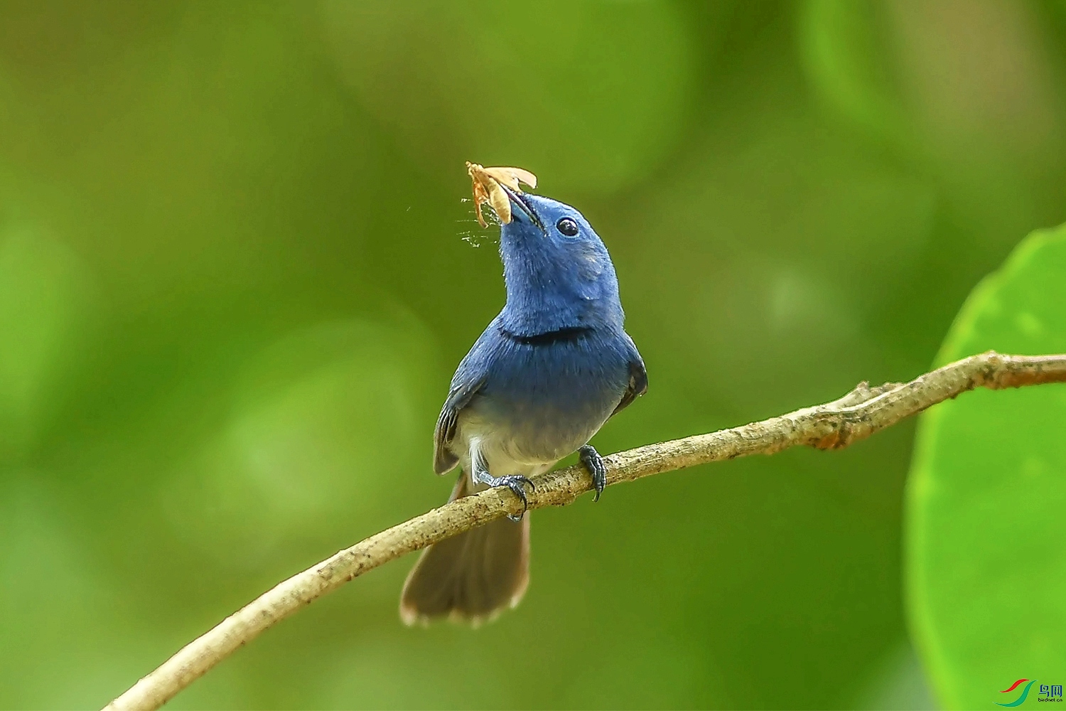 DSC_7225.jpg
