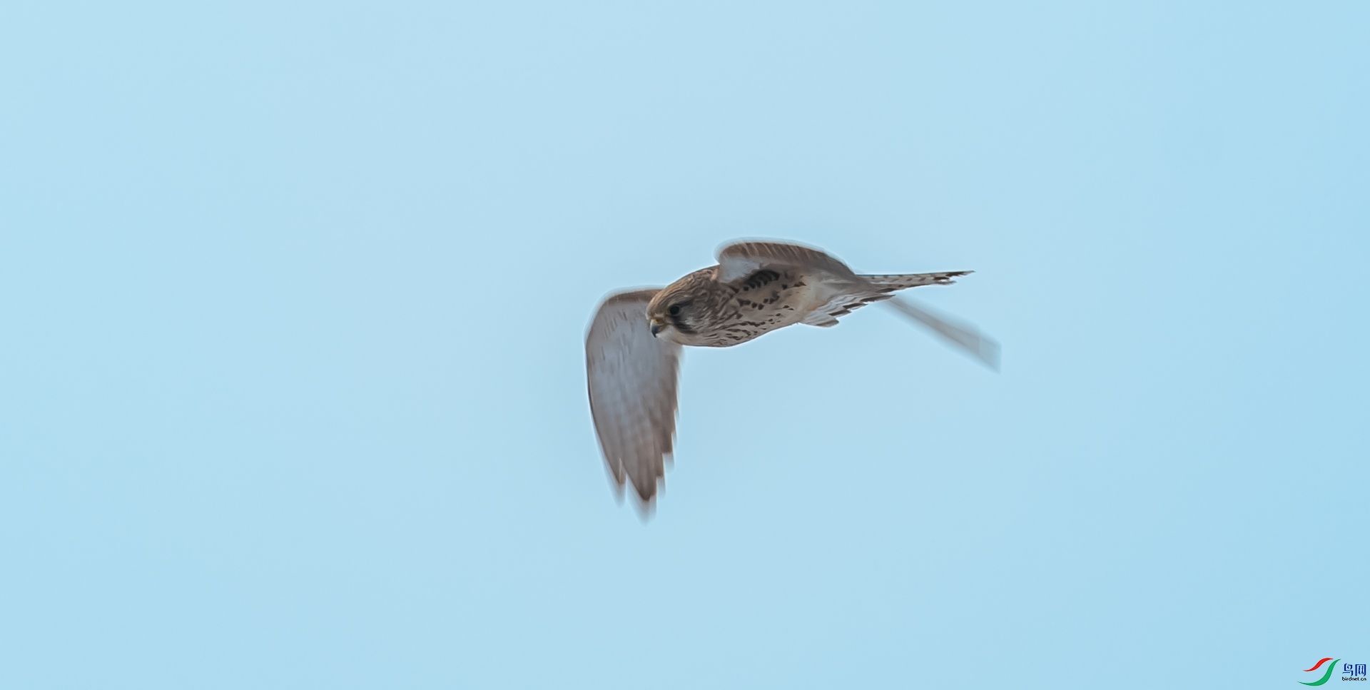 DSC_6827.jpg