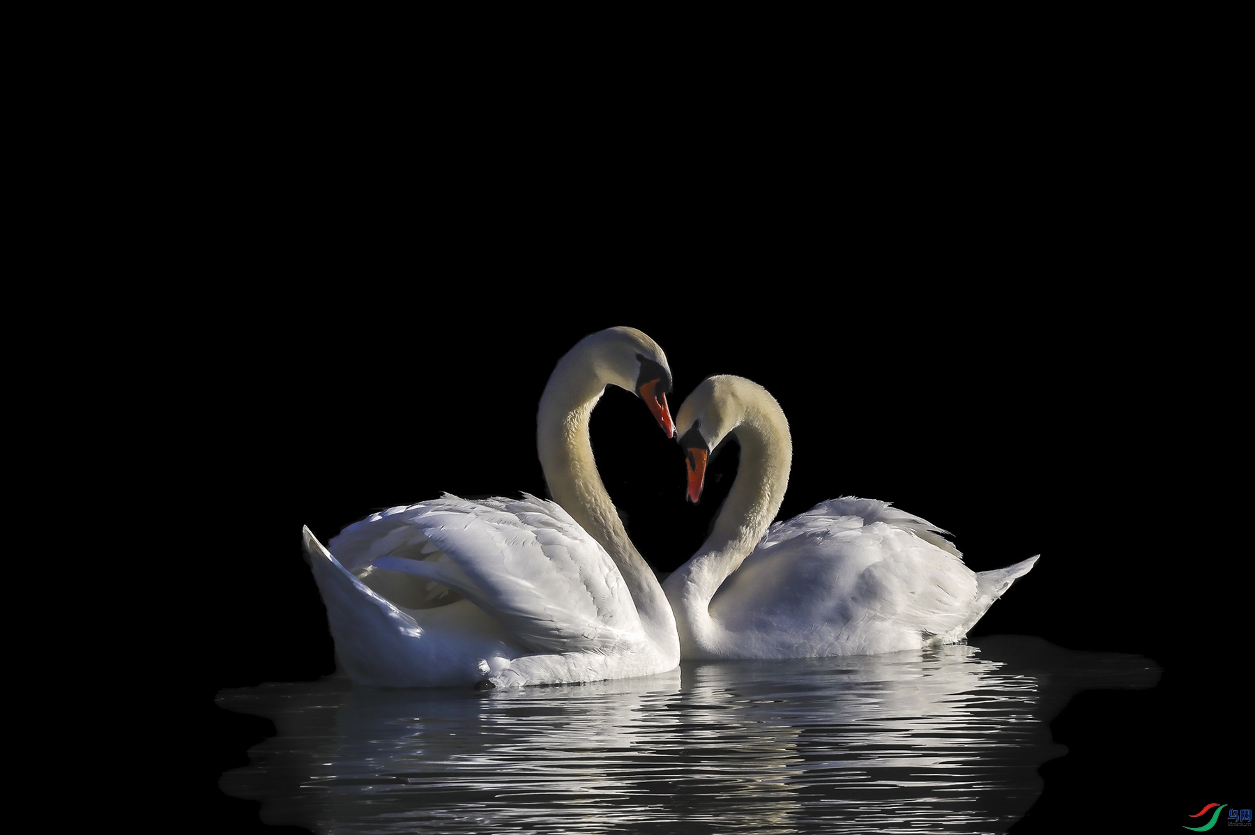 5H5A2326_1 ����.jpg