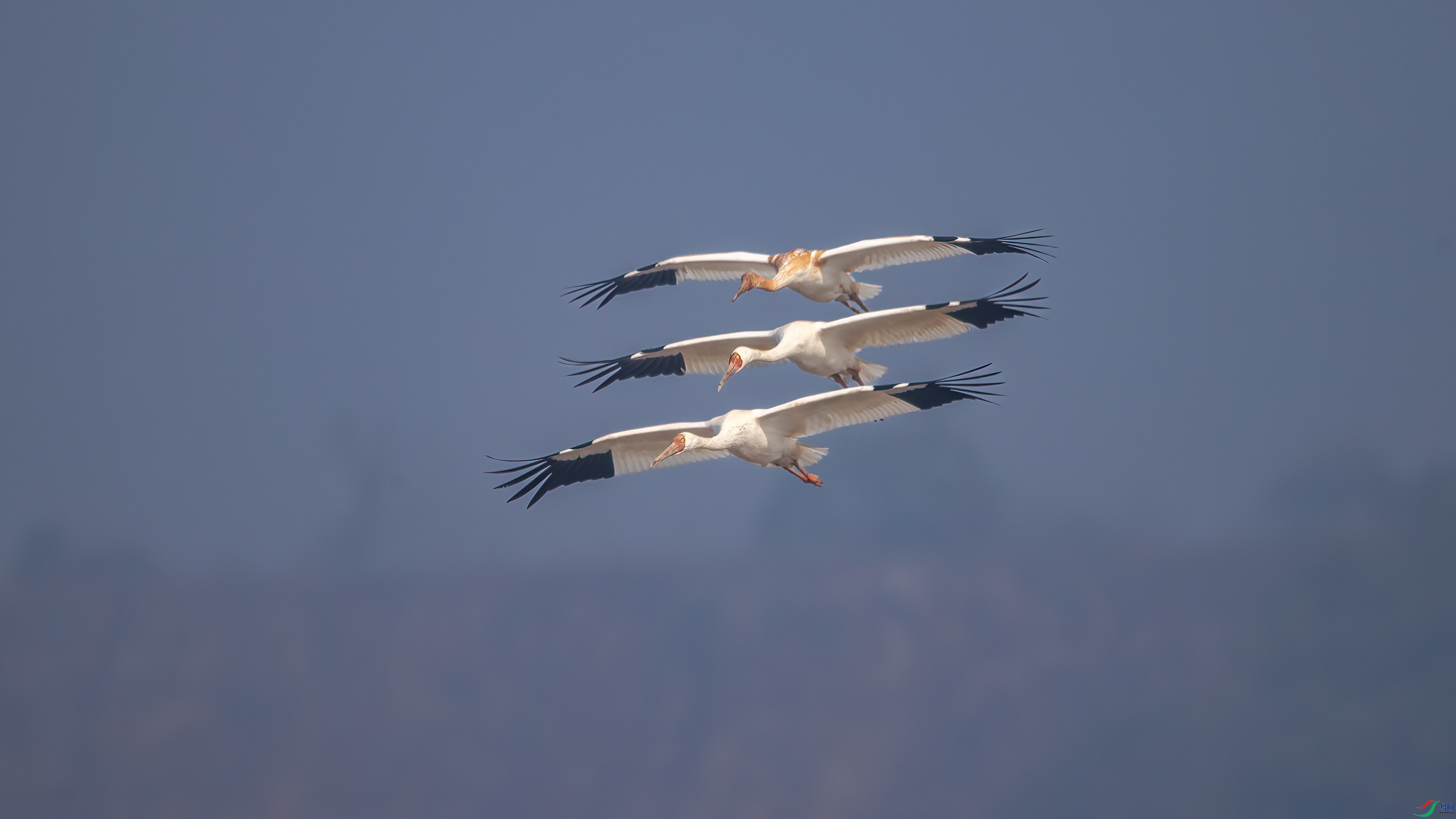 �׺�-(542)-1.jpg