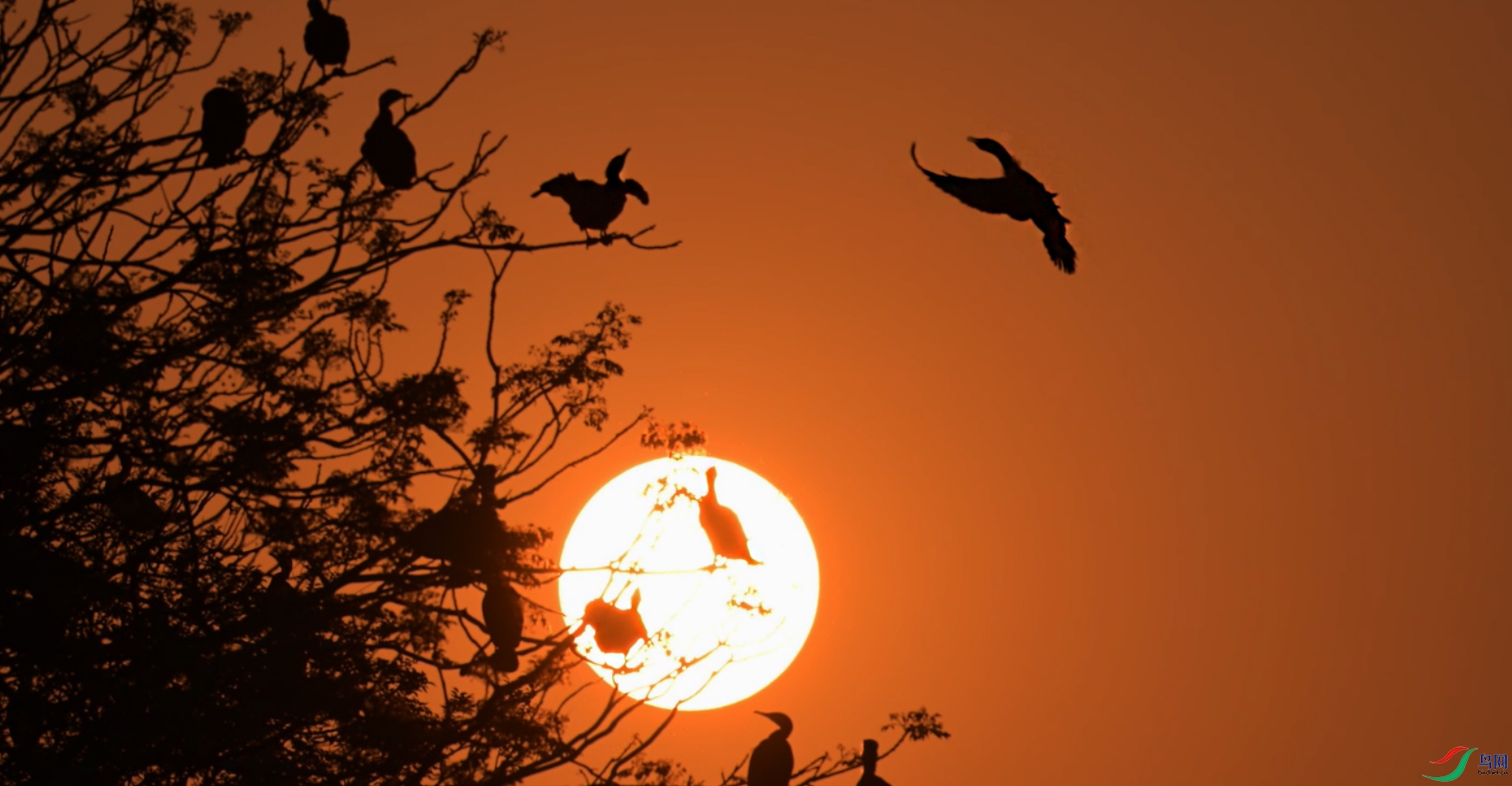 {6B2CD5C0-C48A-4848-92D7-6274EBDA9BEE} ����.jpg