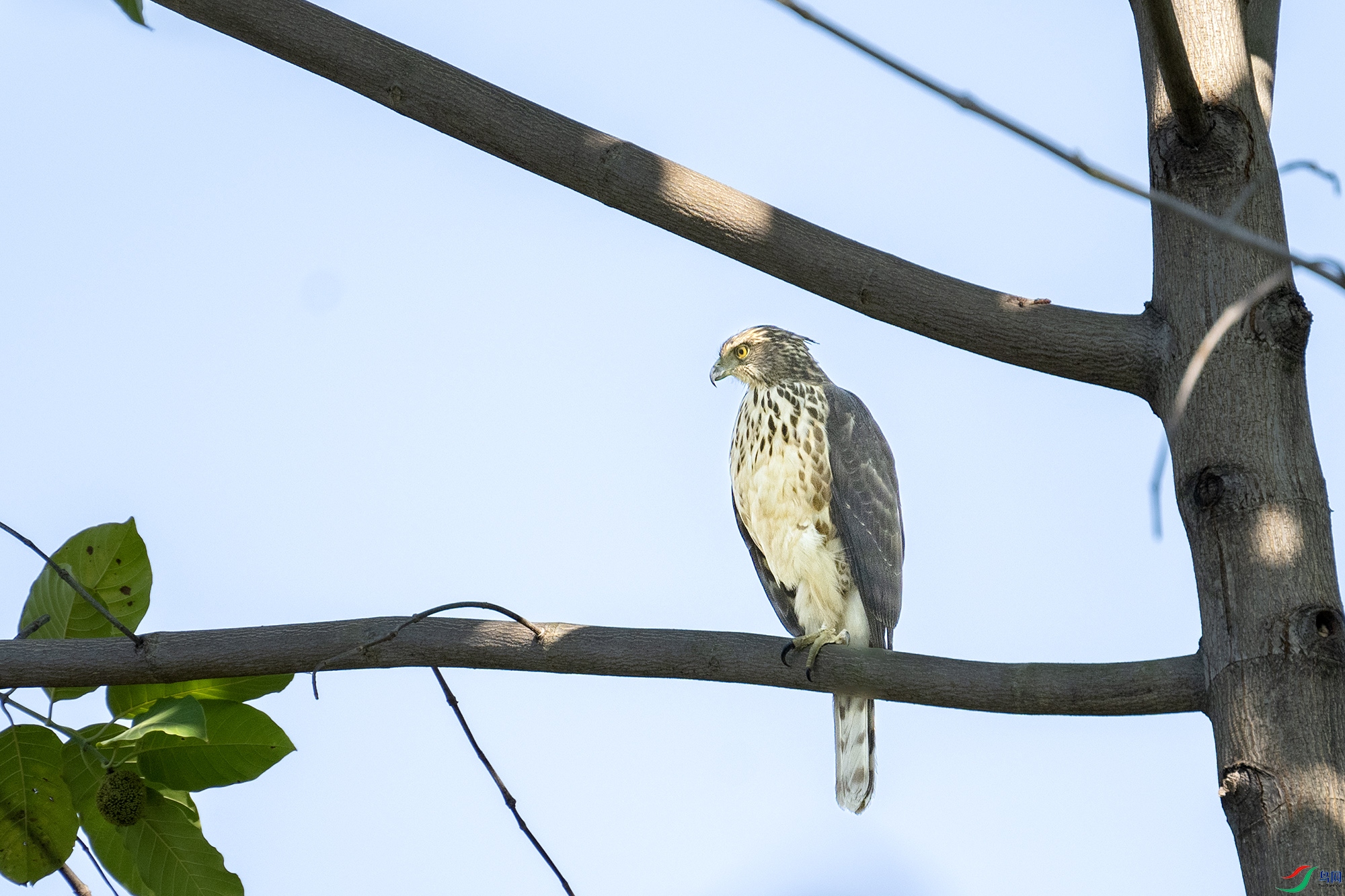 DSC_4406.jpg