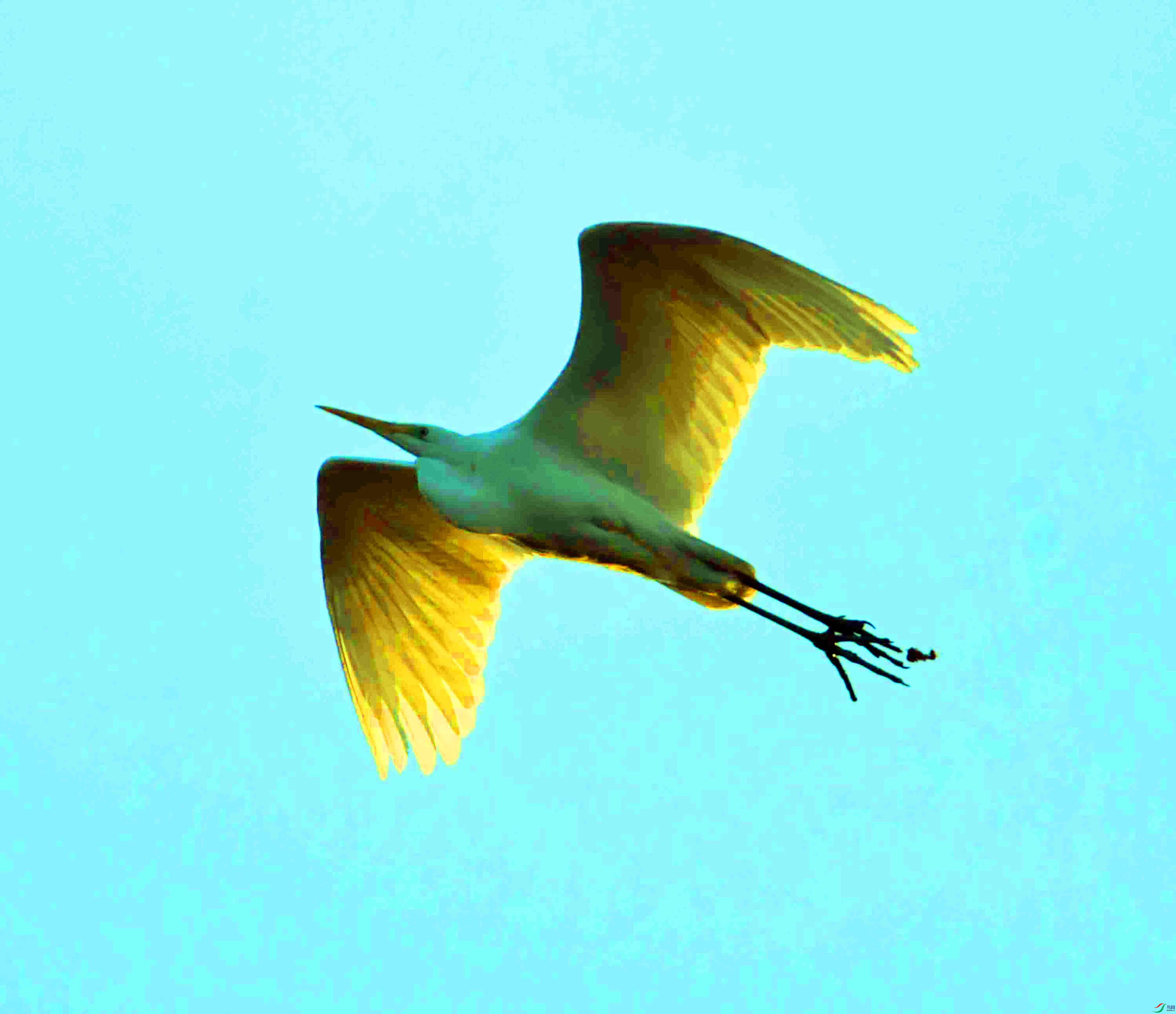 DSC_8730.JPG