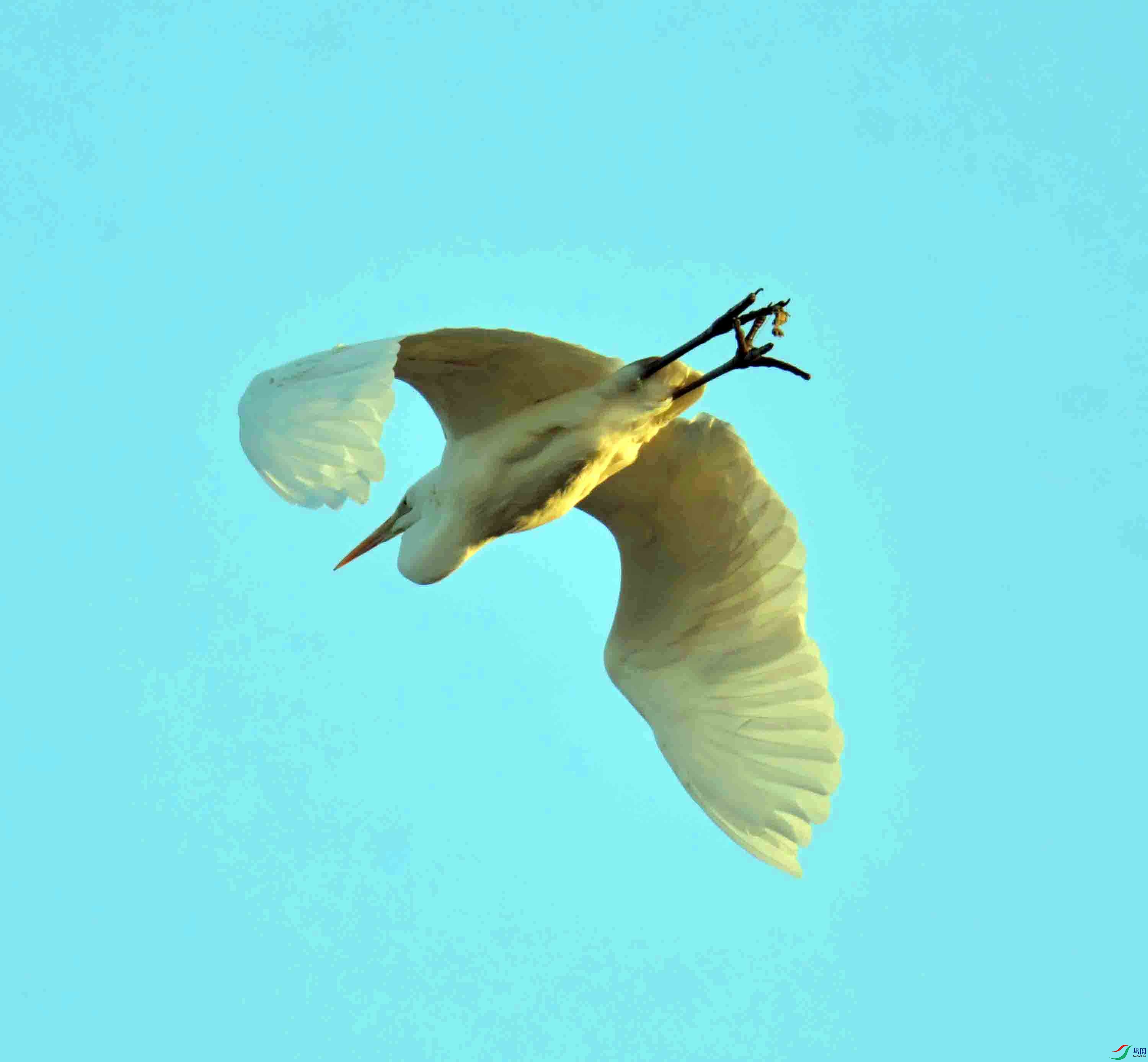 DSC_8752.JPG