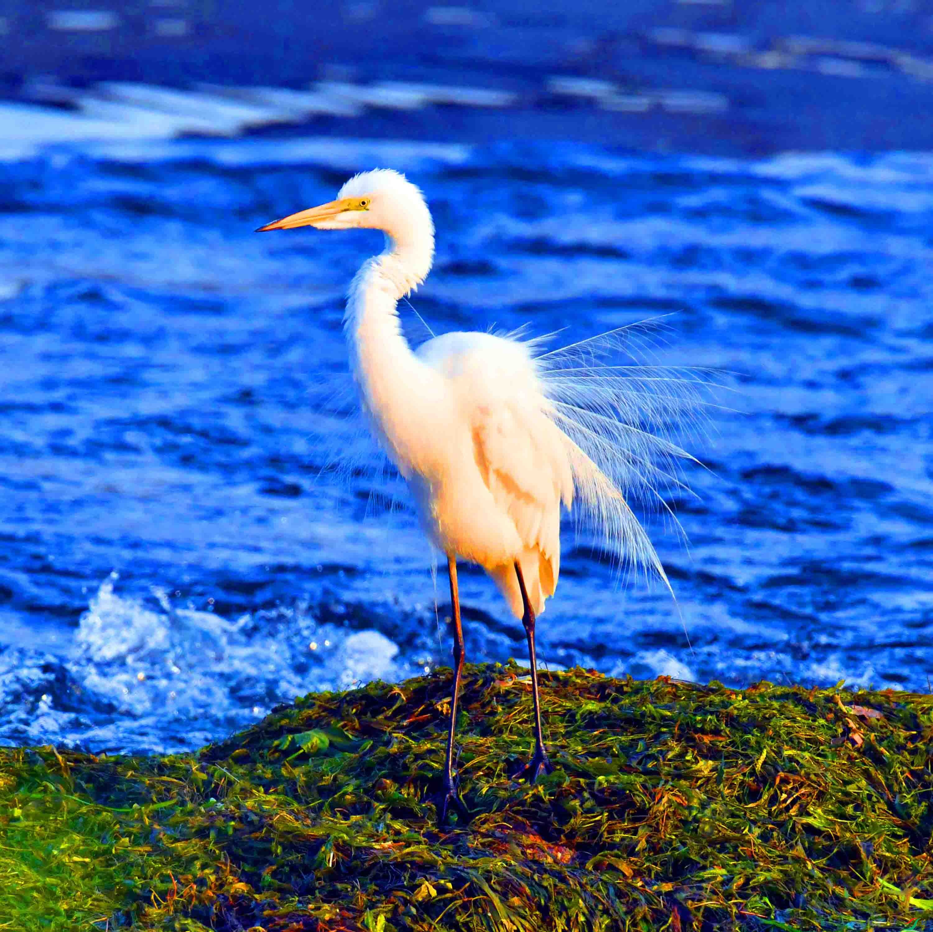 DSC_8778.JPG
