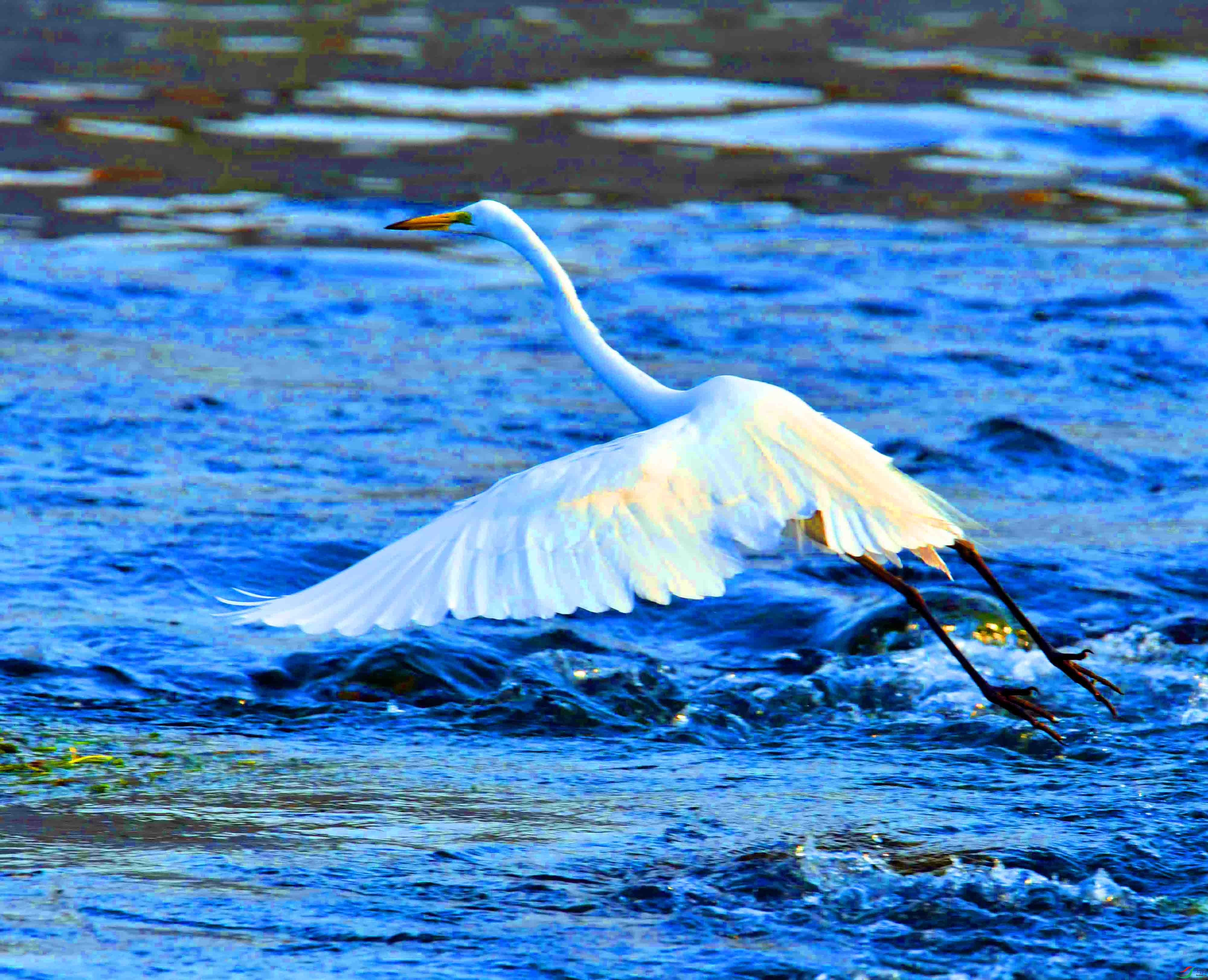 DSC_8782.JPG