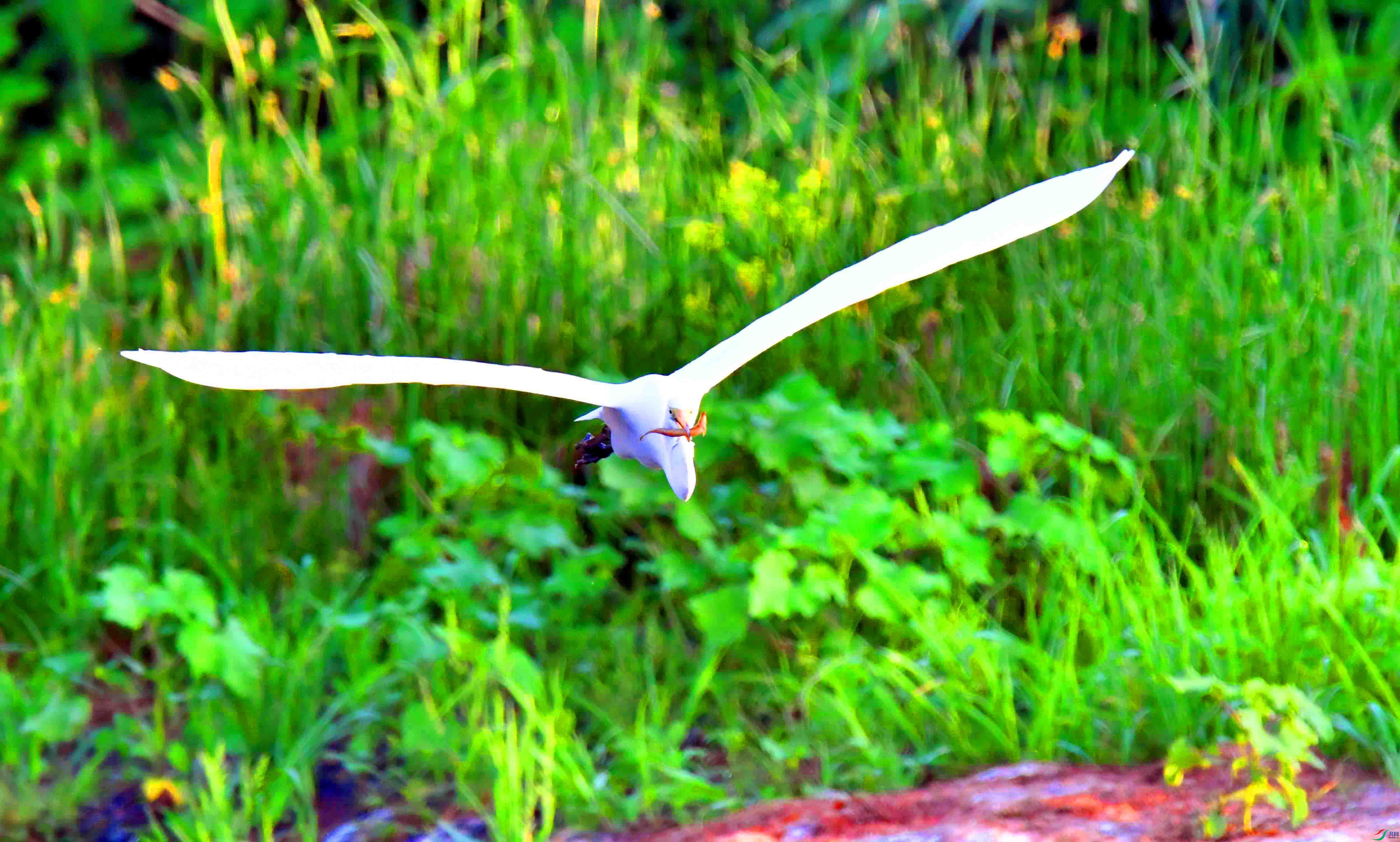 DSC_8817.JPG
