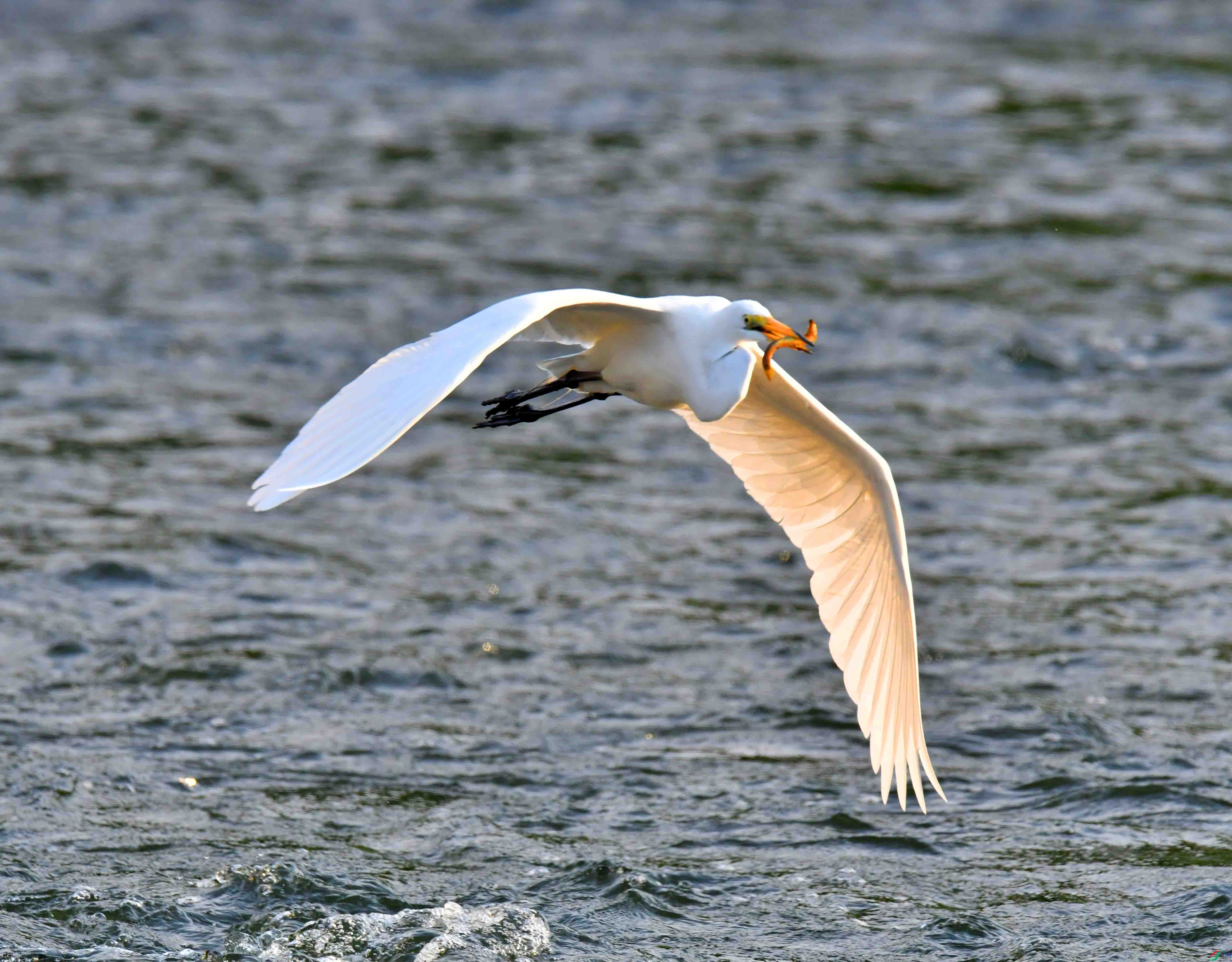 DSC_8820.JPG