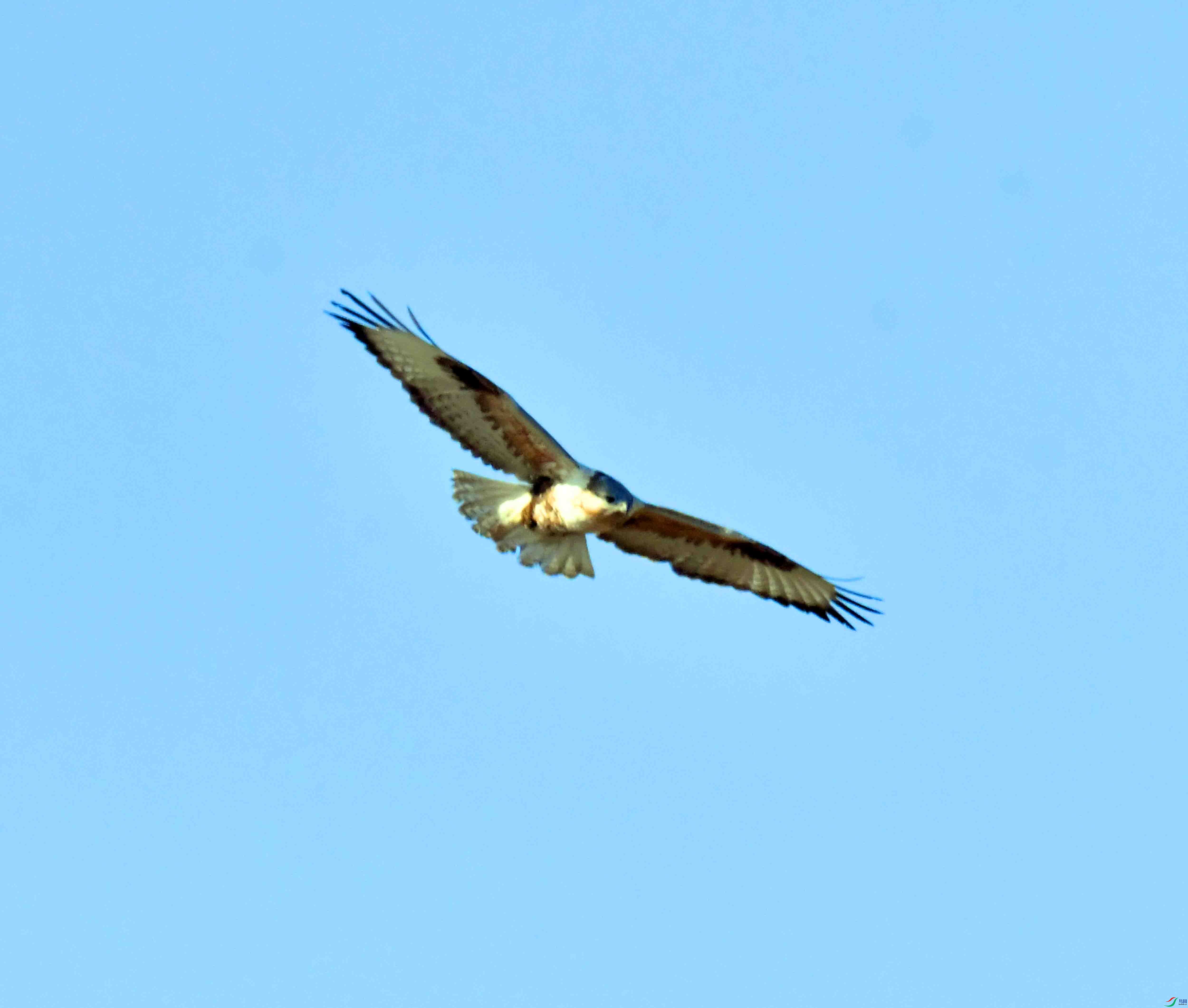 DSC_9544.JPG