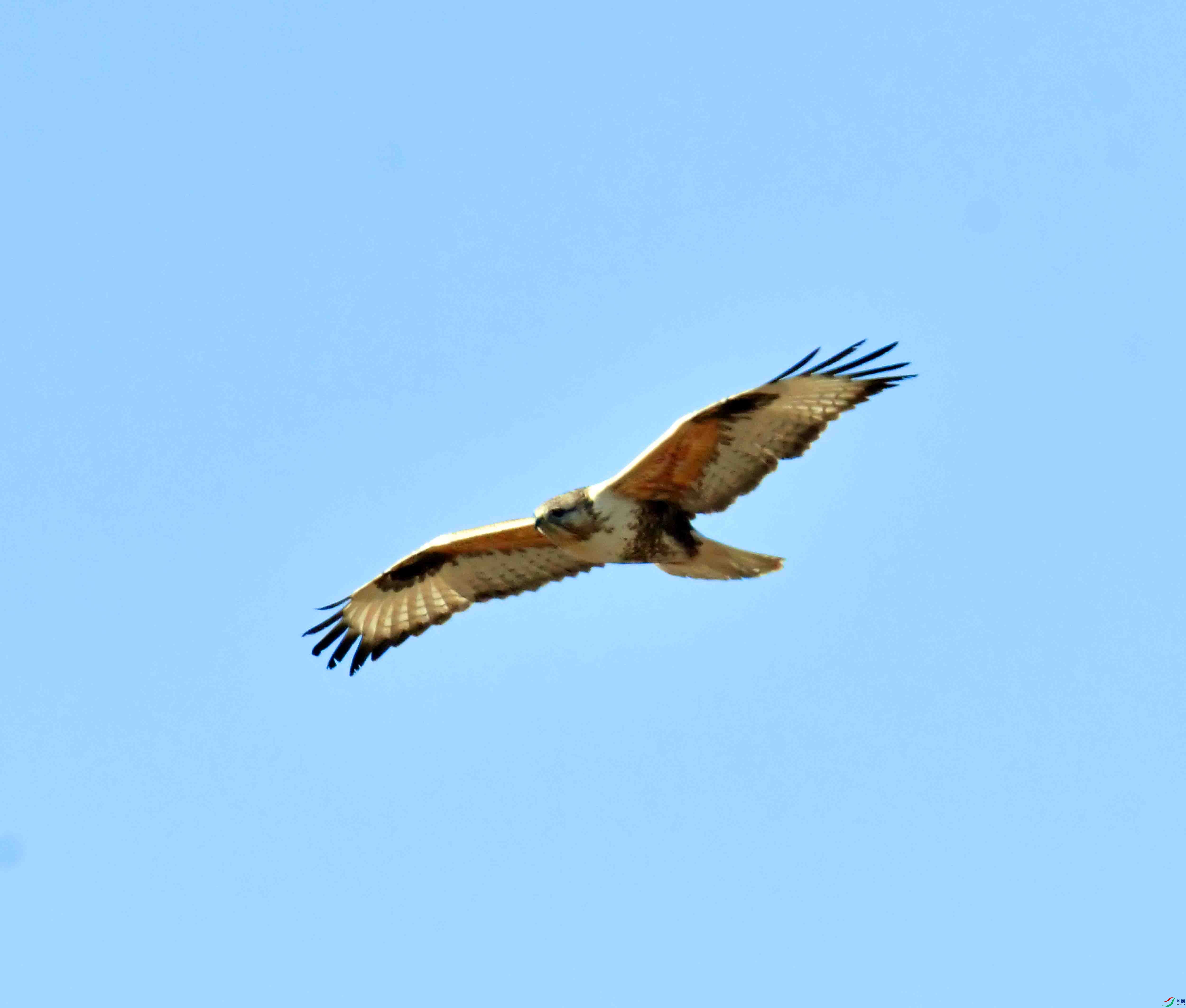 DSC_9569.JPG
