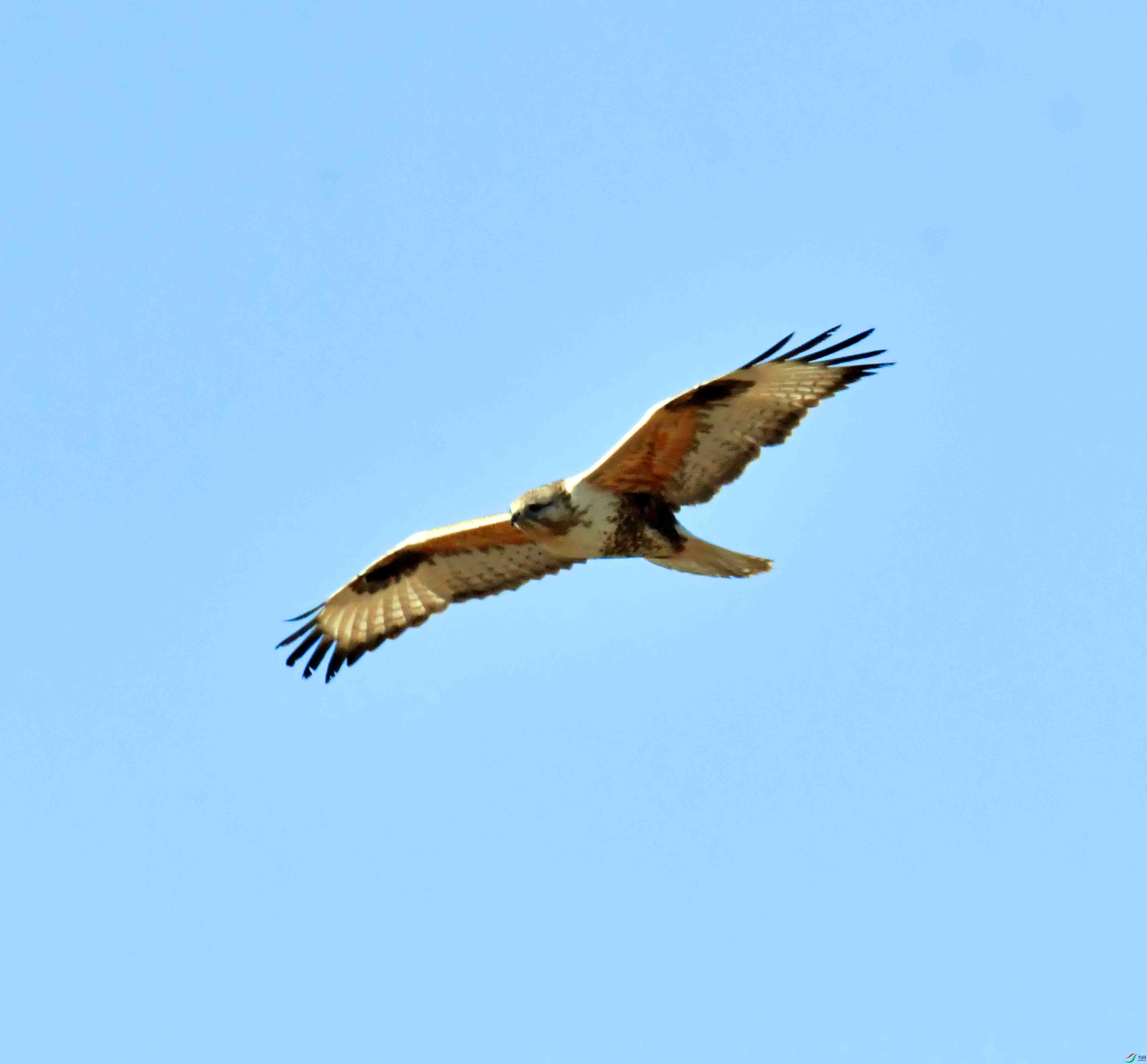 DSC_9570.JPG