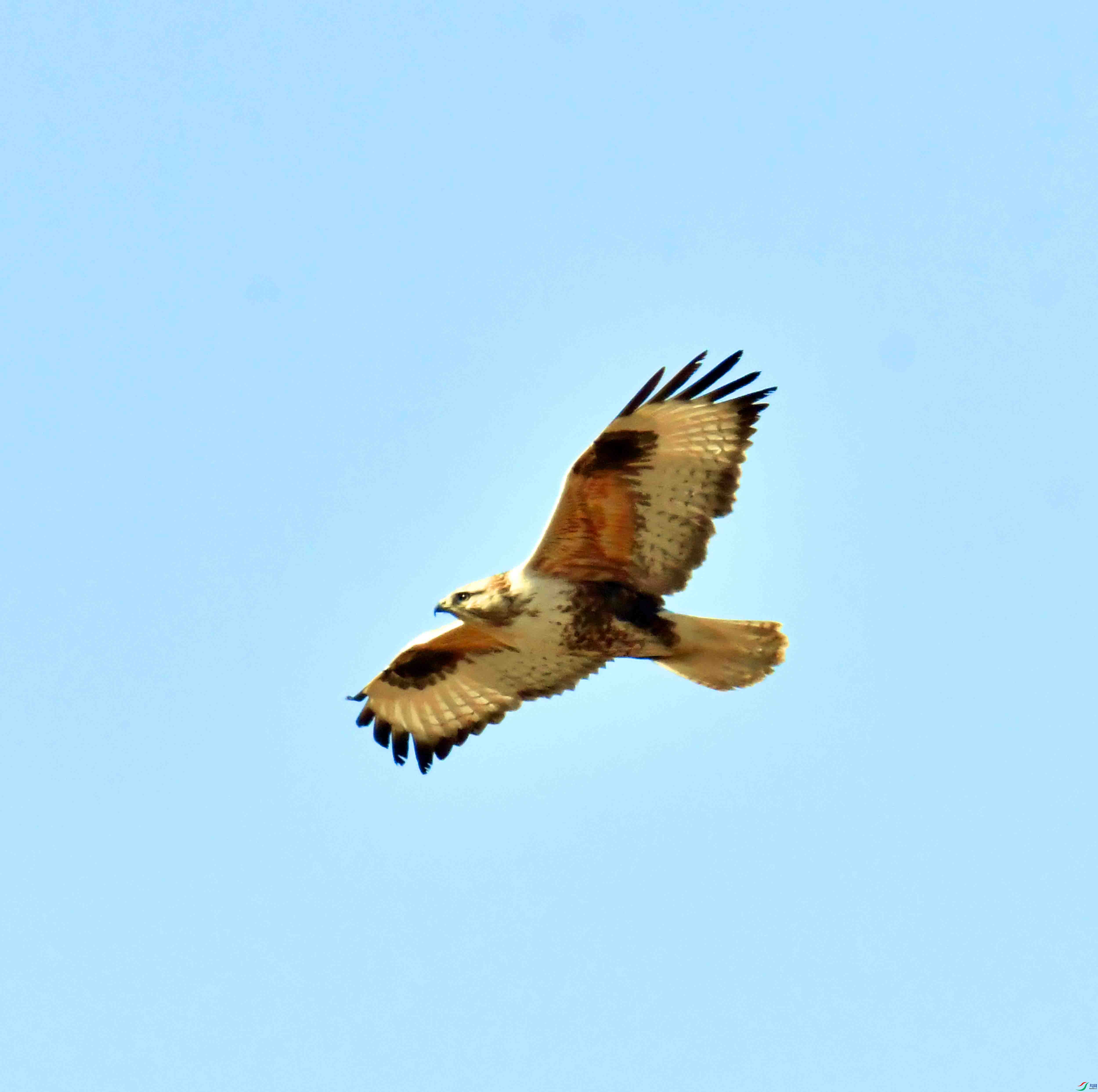 DSC_9573.JPG