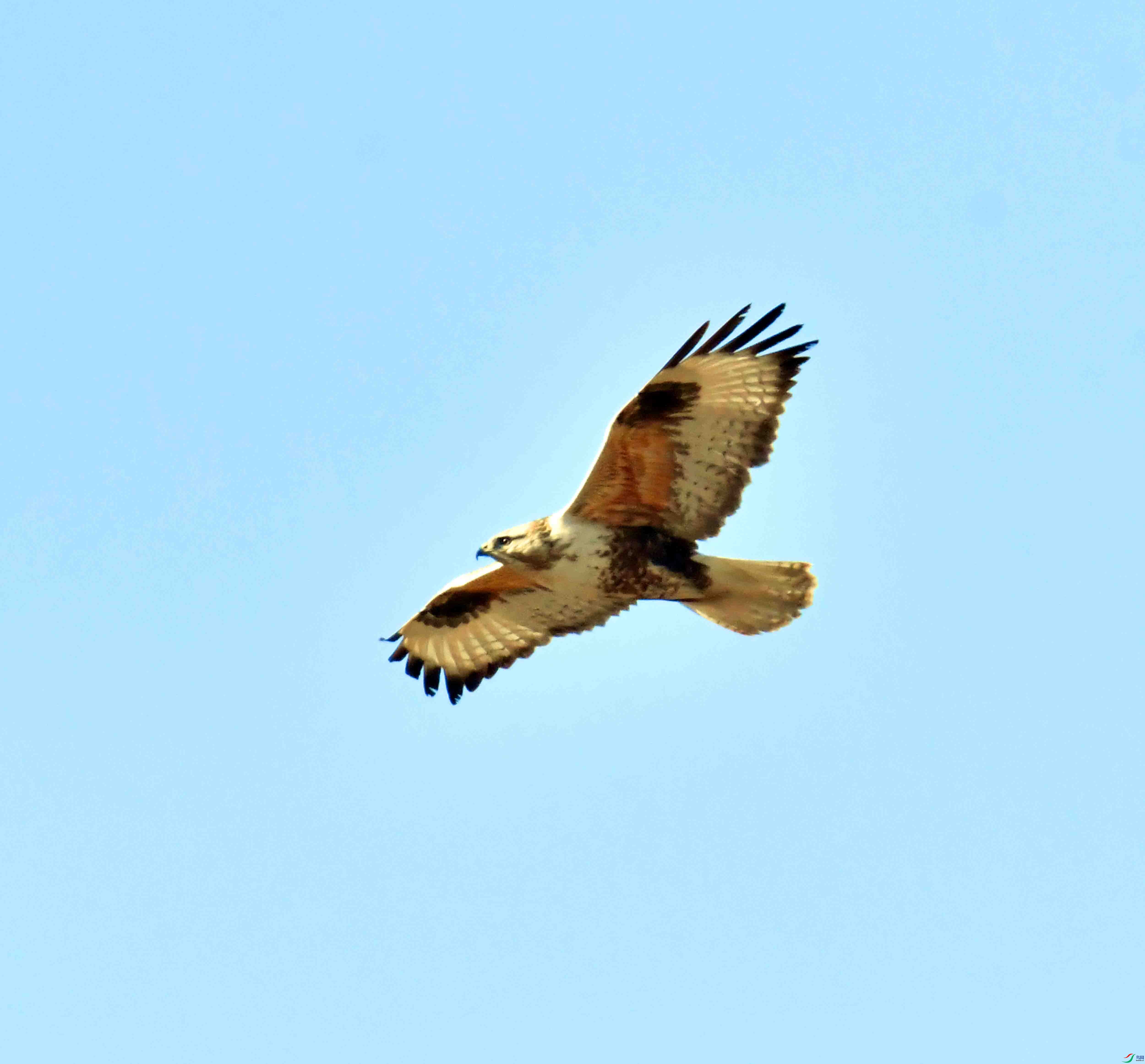 DSC_9572.JPG