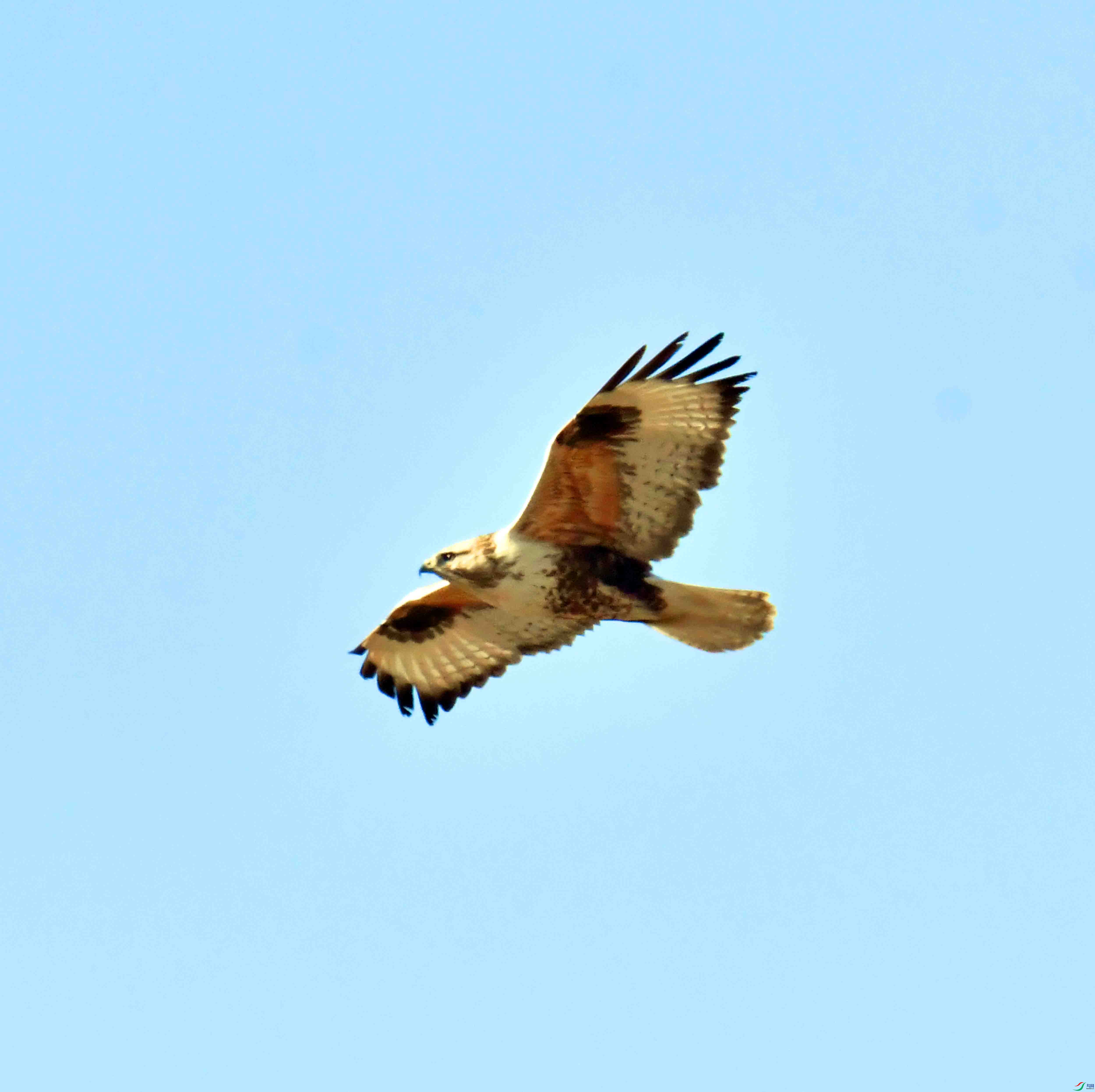 DSC_9574.JPG