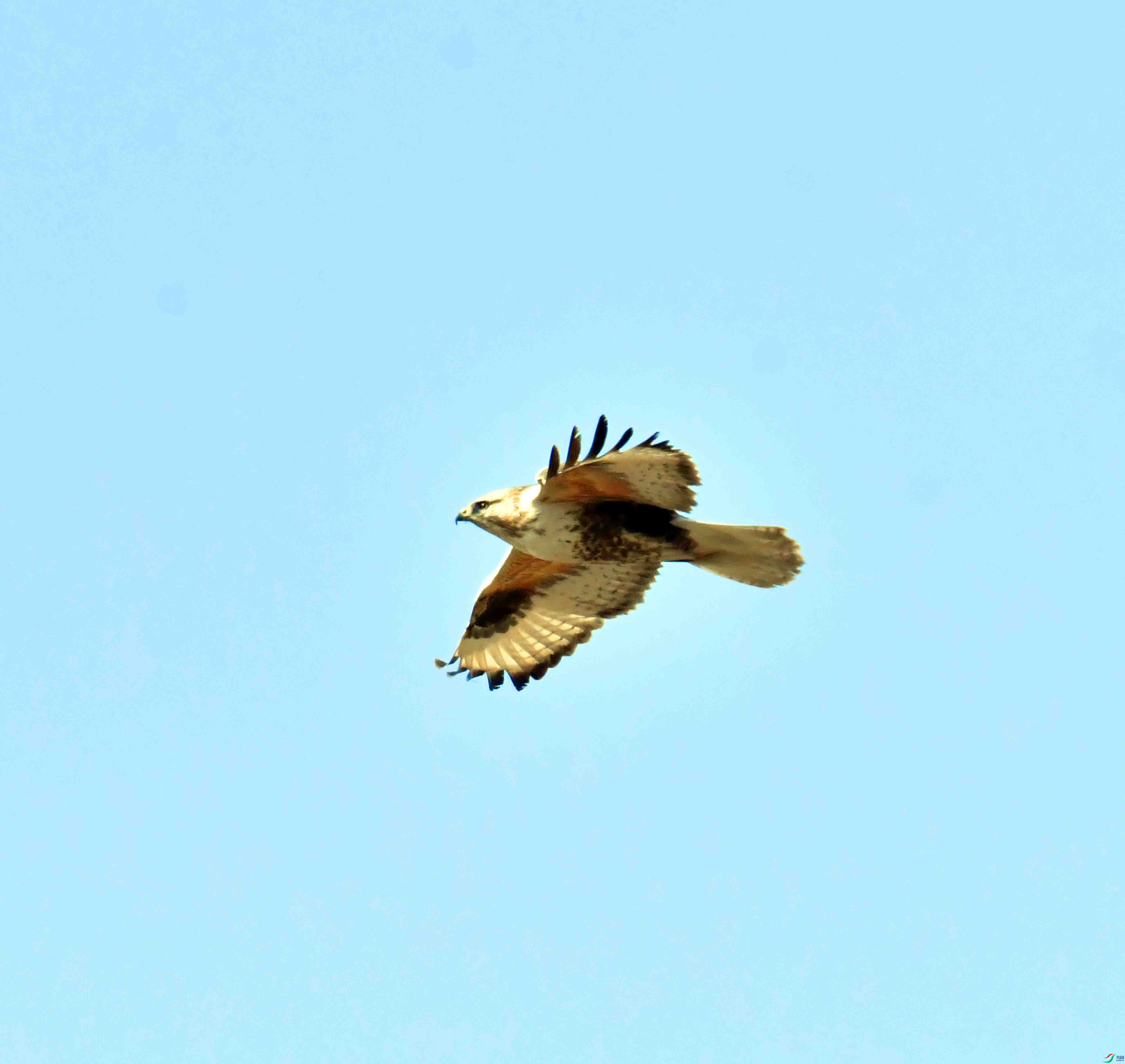 DSC_9576.JPG
