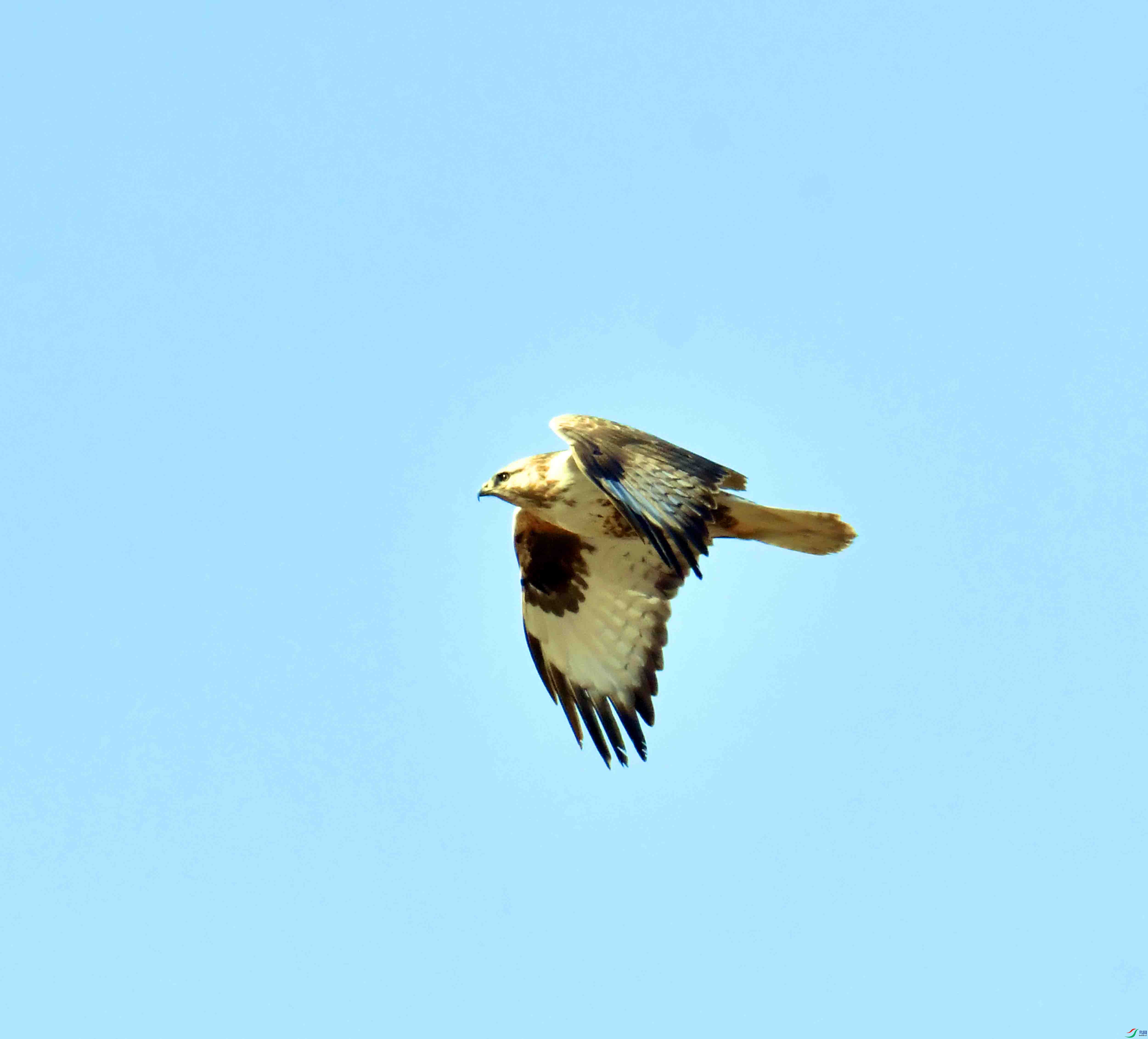 DSC_9577.JPG