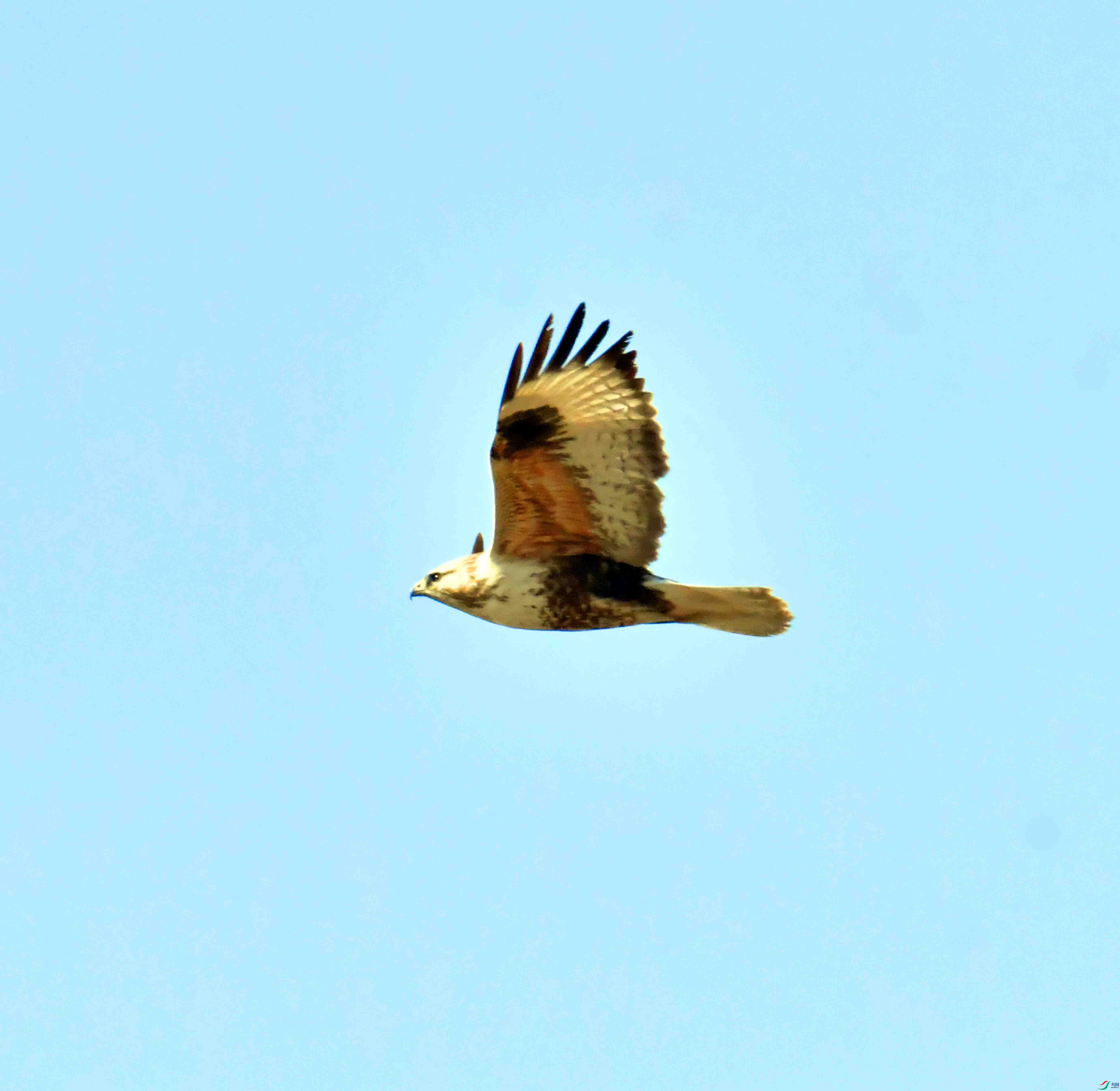 DSC_9580.JPG