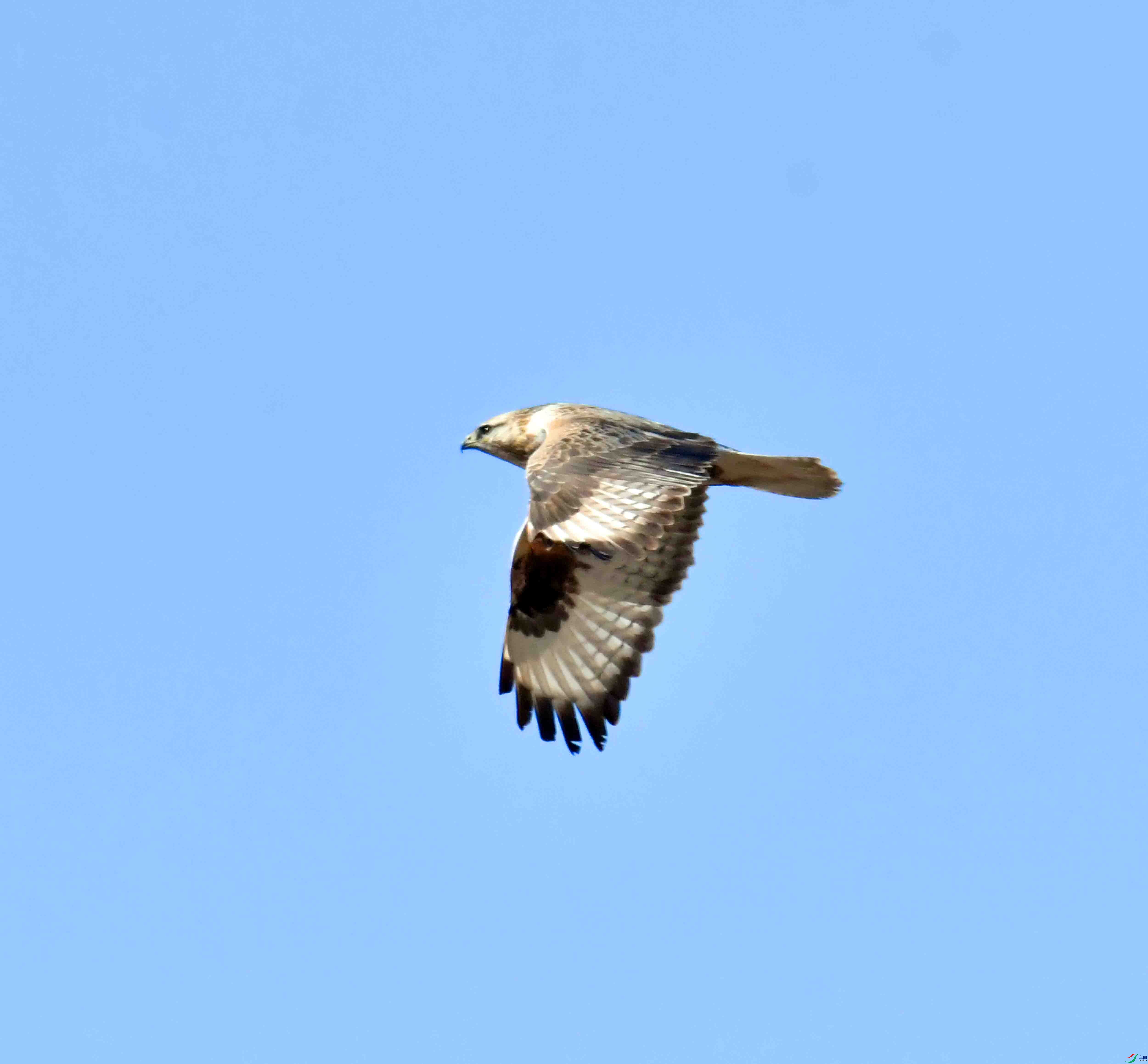 DSC_9581.JPG