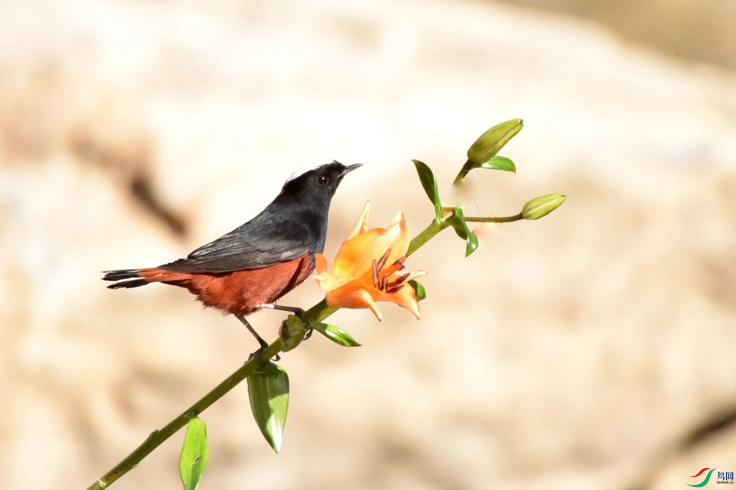 DSC_9705.JPG