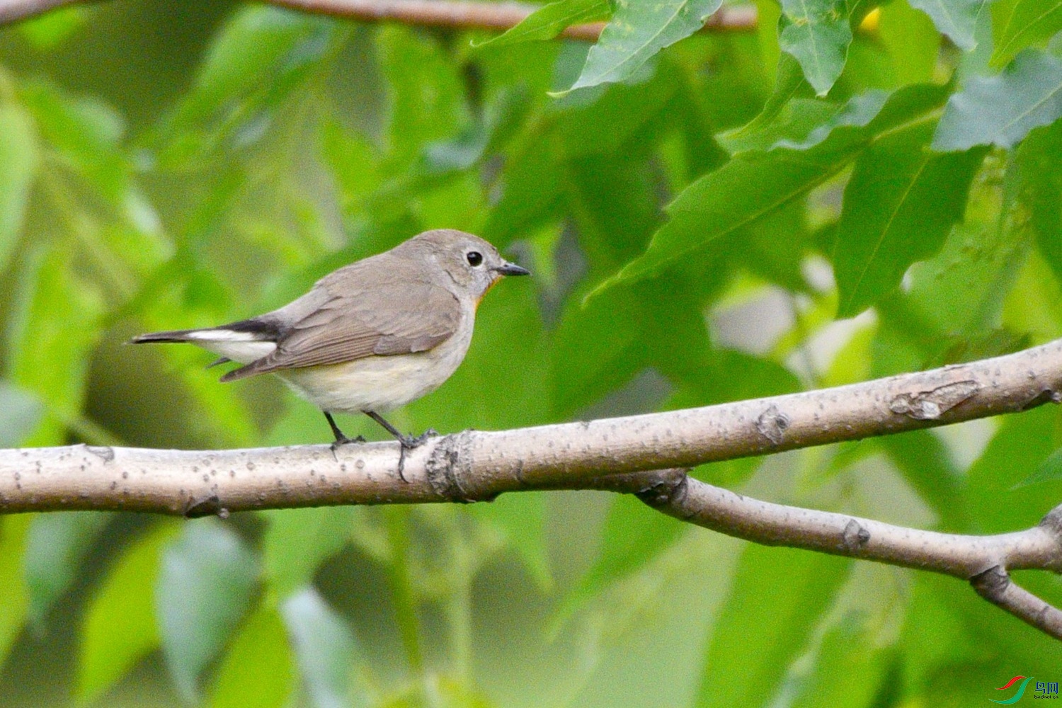 DSC_1793.JPG