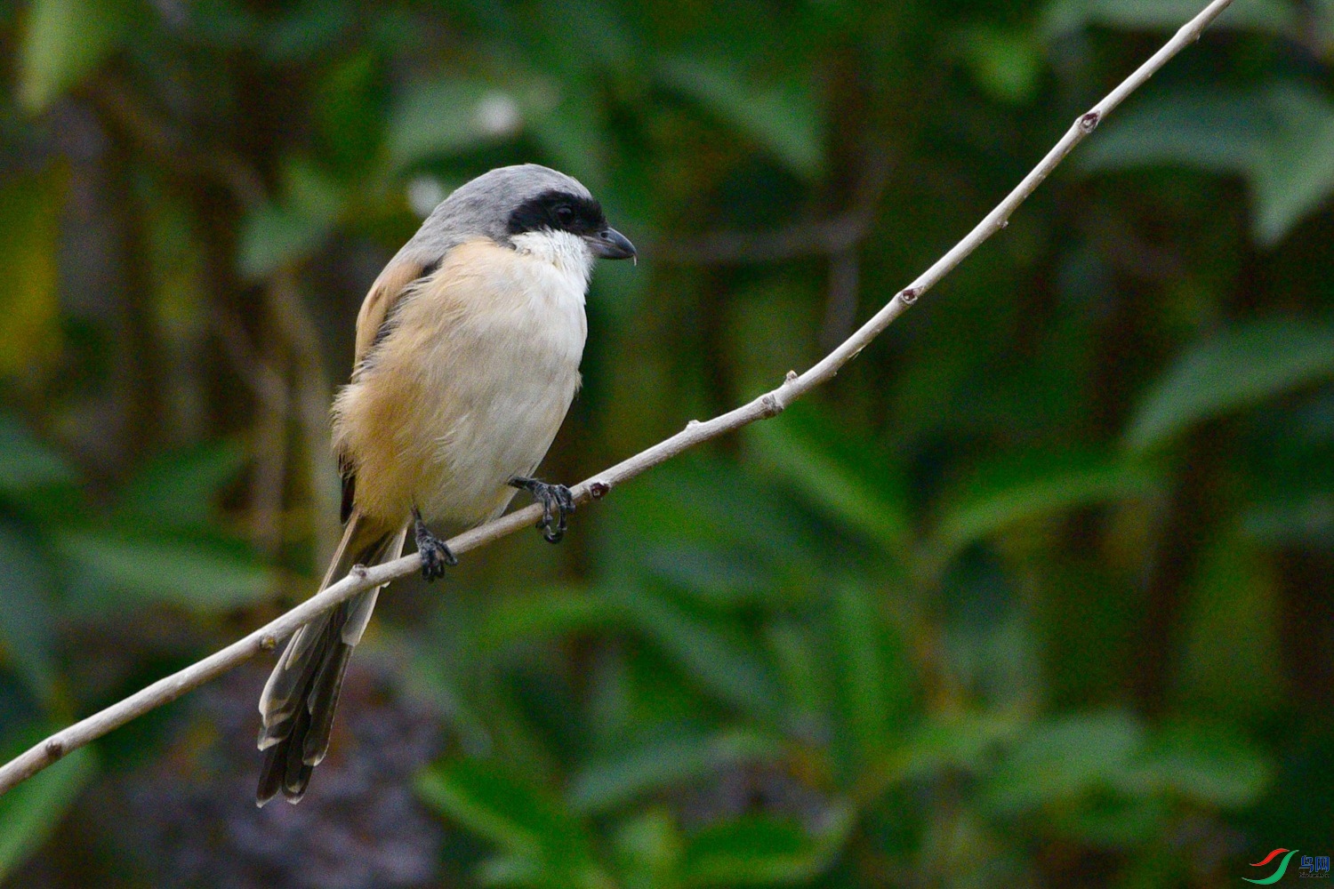 DSC_3574.JPG