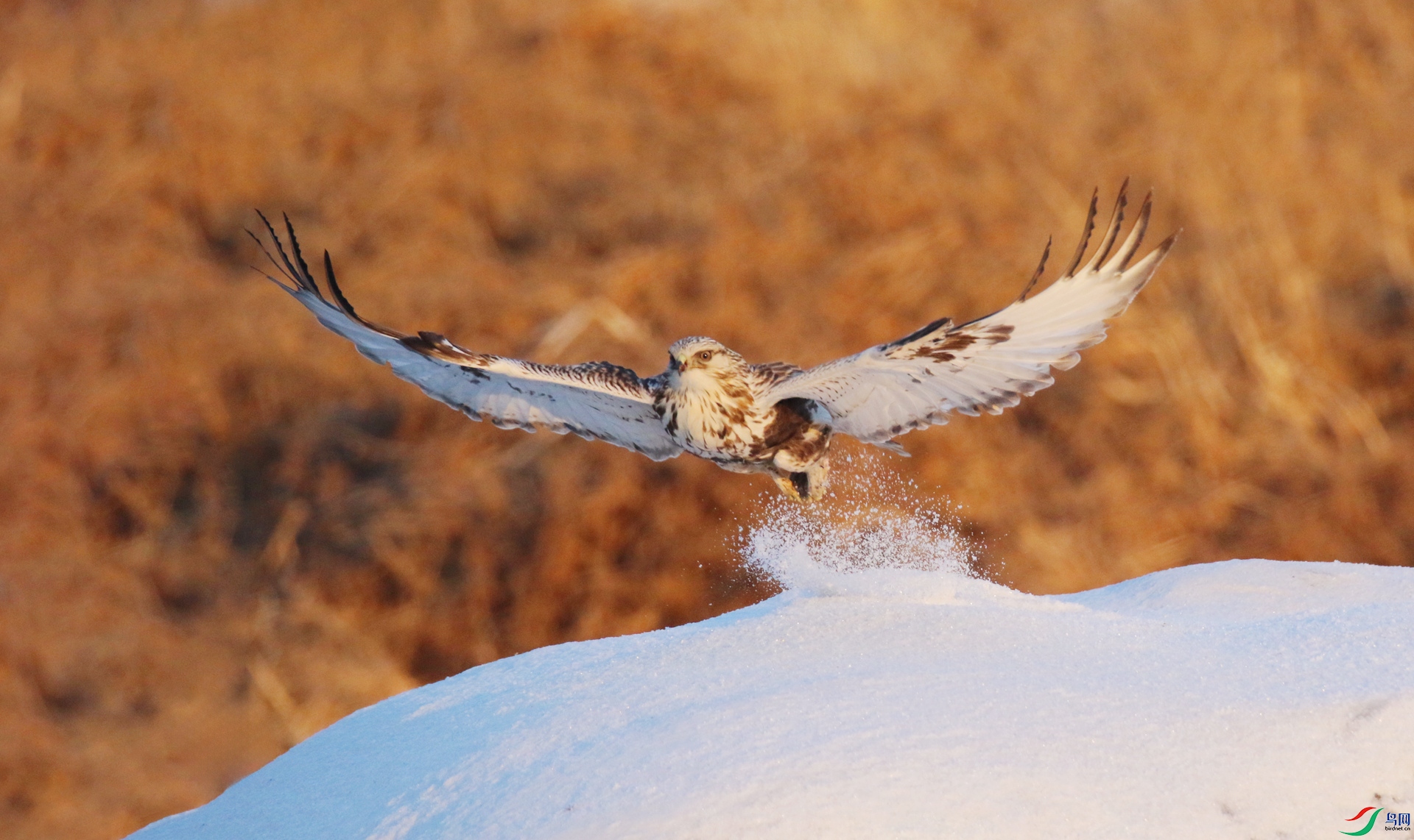 0G1A5194 ����.jpg