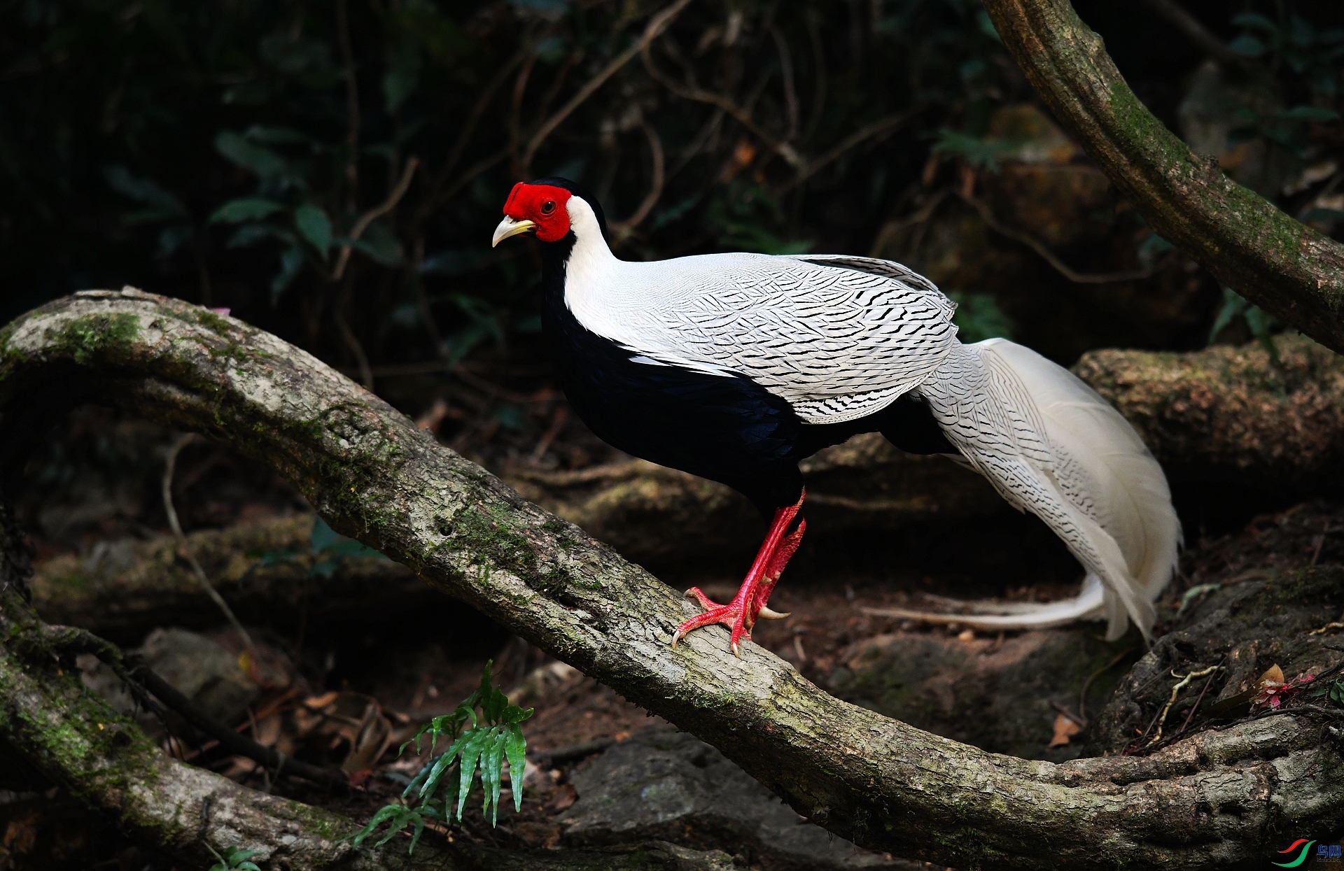 DSC_0770.jpg