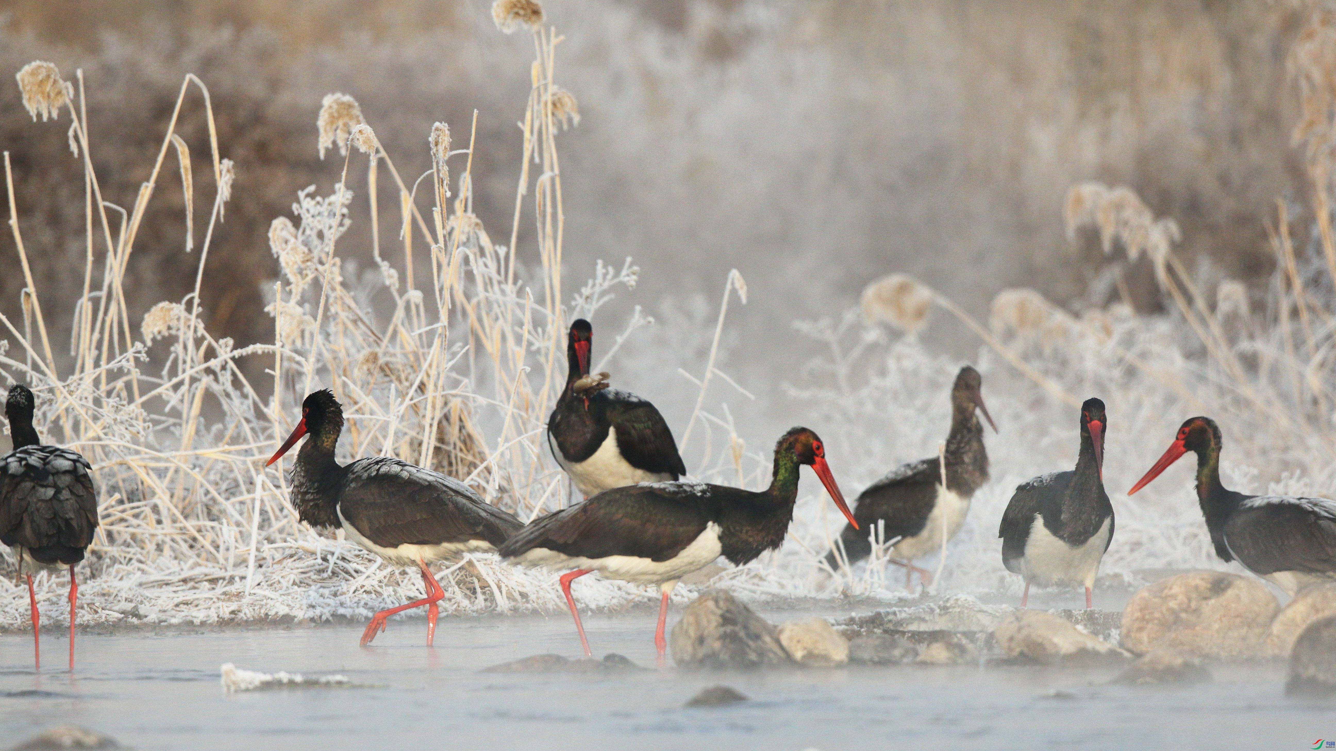 3.22��Ƭ�����ʦ��Ʒ   ���٣�ף���ٻ����������.jpg