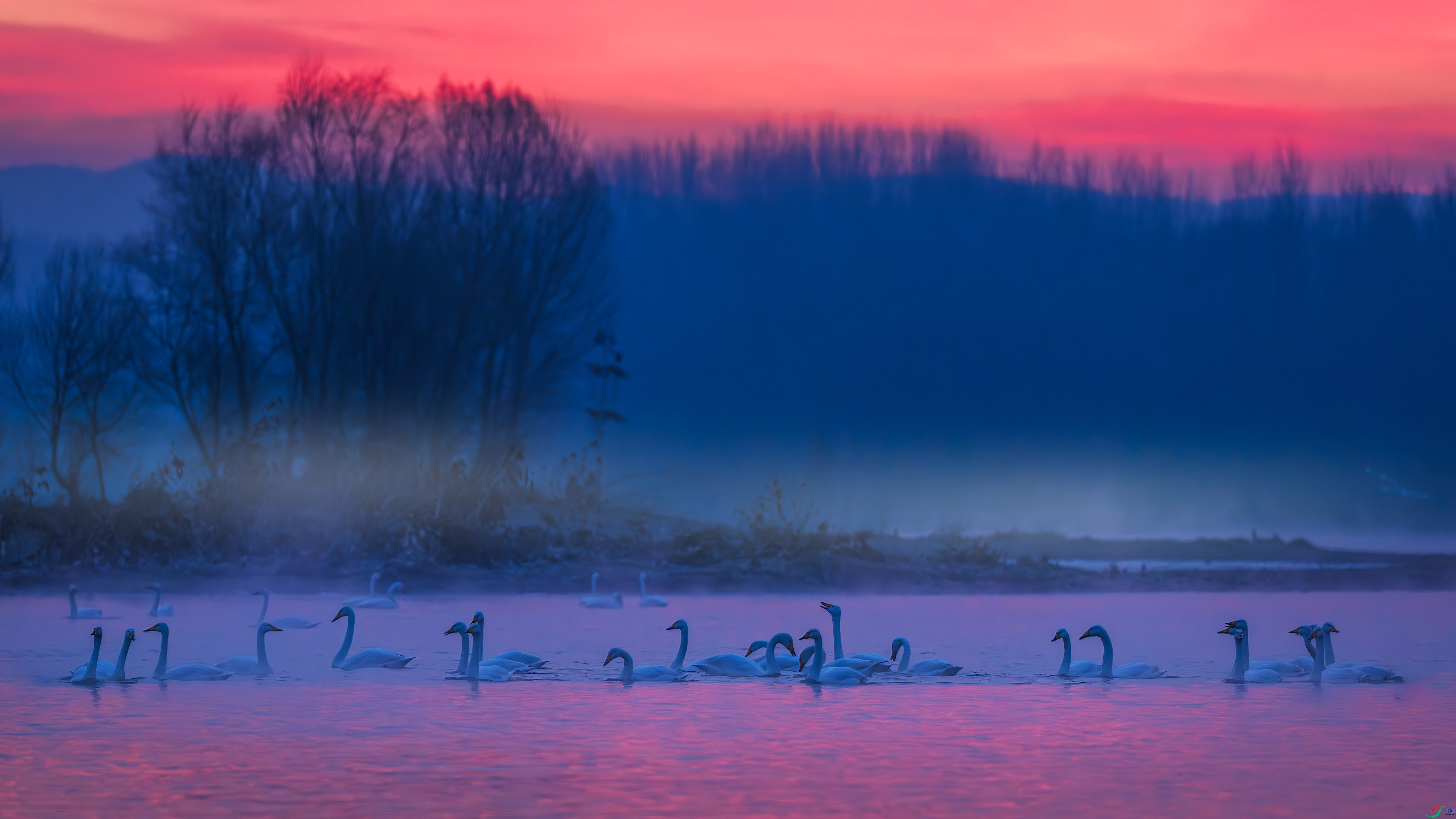 3.24����������ʦ��Ʒ   ��������� ��ף���ٻ����������.jpg