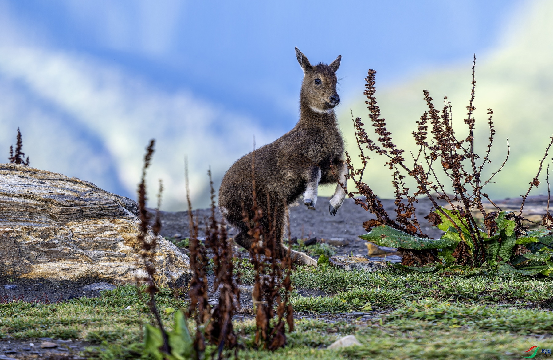 ϲ�����Ű��� (136)-1.jpg
