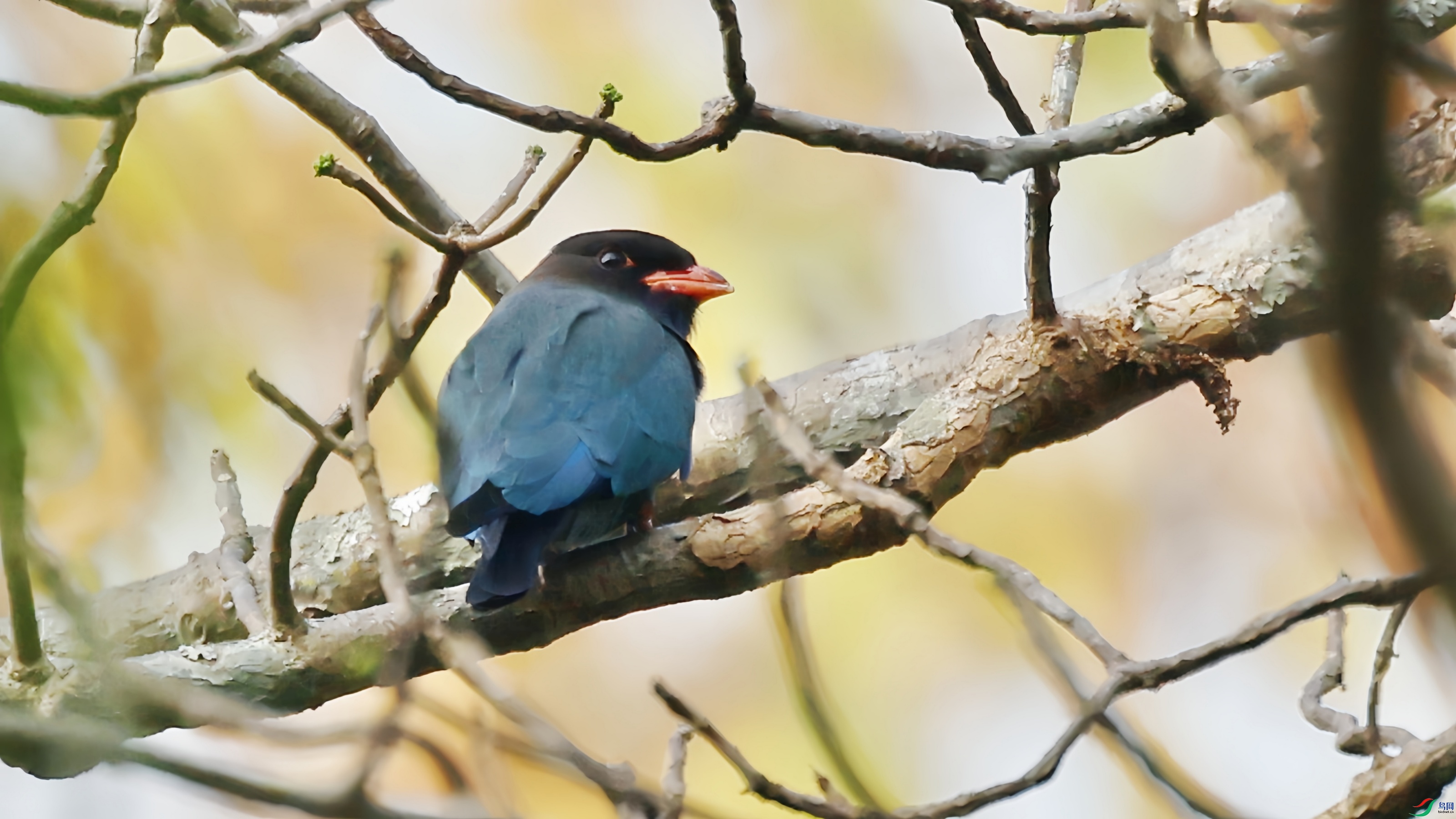 2F6A8314_����_����.jpg