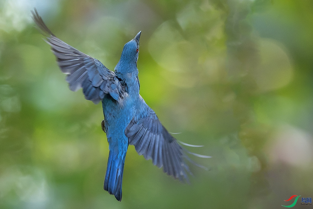 0F7A9944 ����.jpg