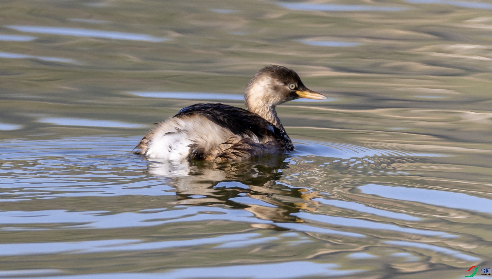 С��73 ����.jpg