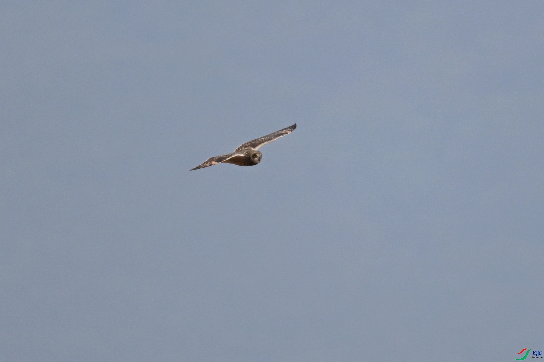 DSC_5690.JPG