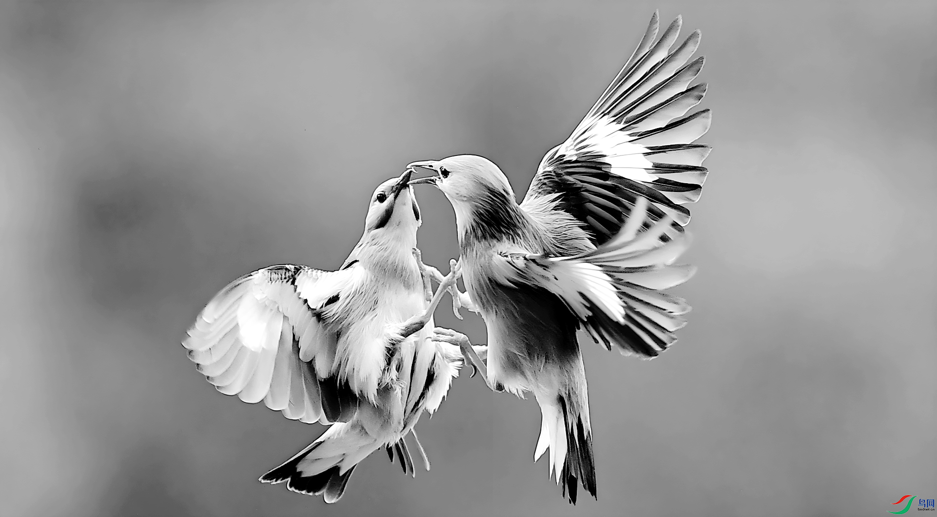 360albumviewer_imgproc_30856592_����_����.png