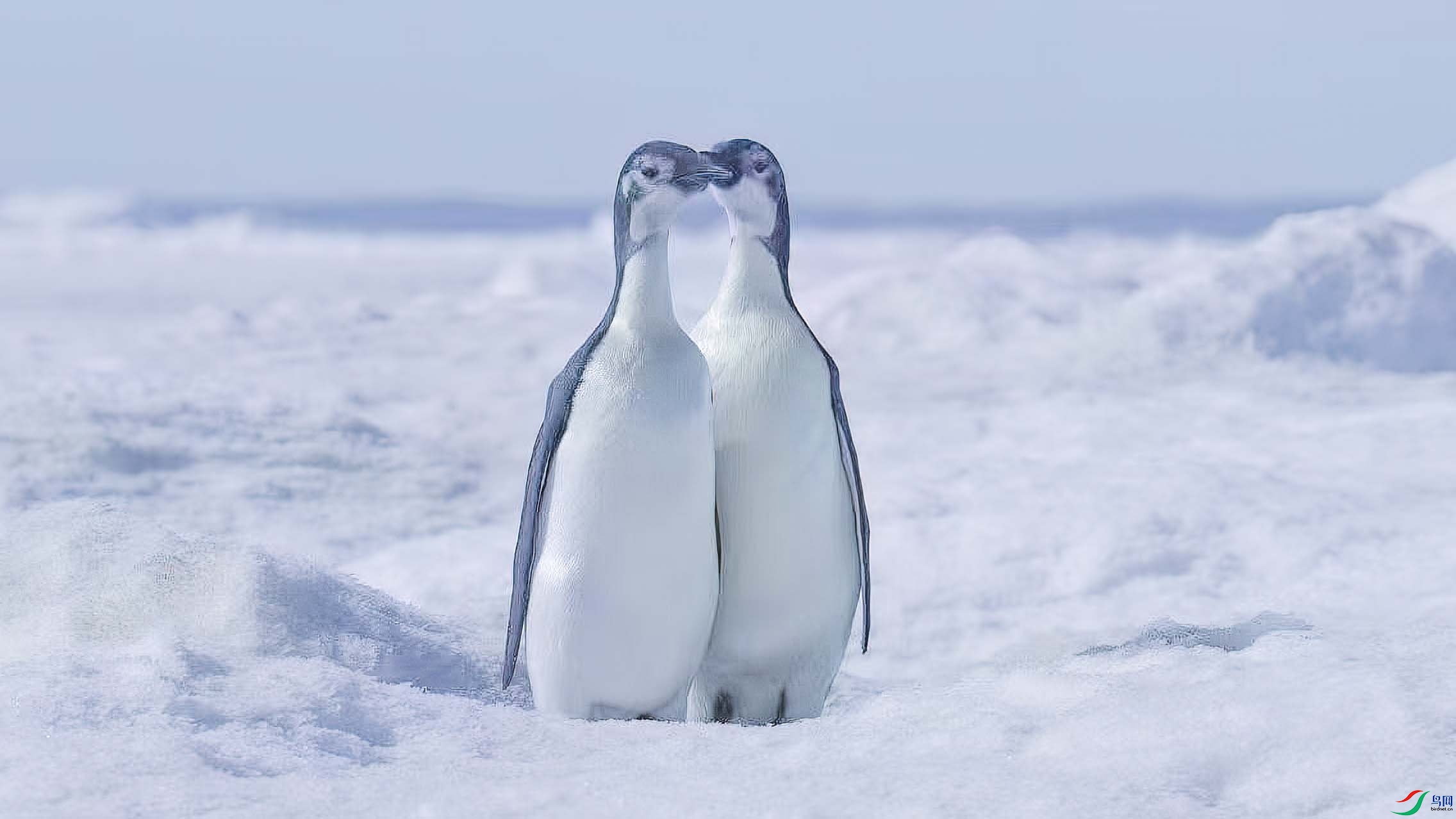 ΢��ͼƬ_20250327104907-����ǿ-SR ����.jpg